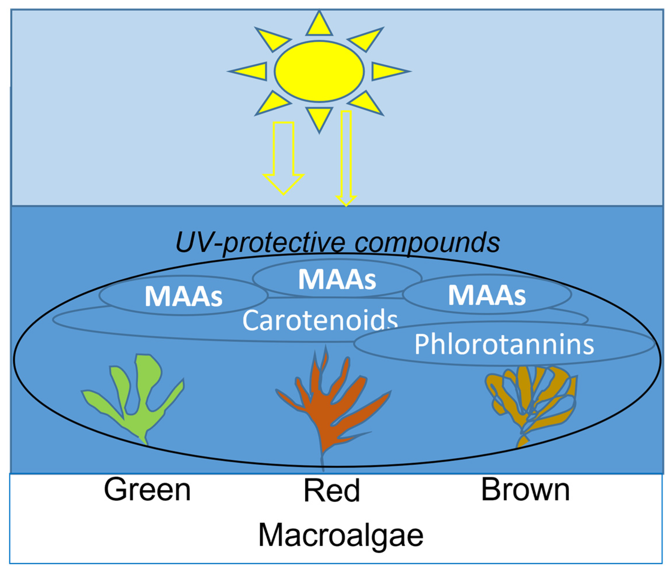 Marinedrugs 21 00633 g002 Marinedrugs 21 00633 g002