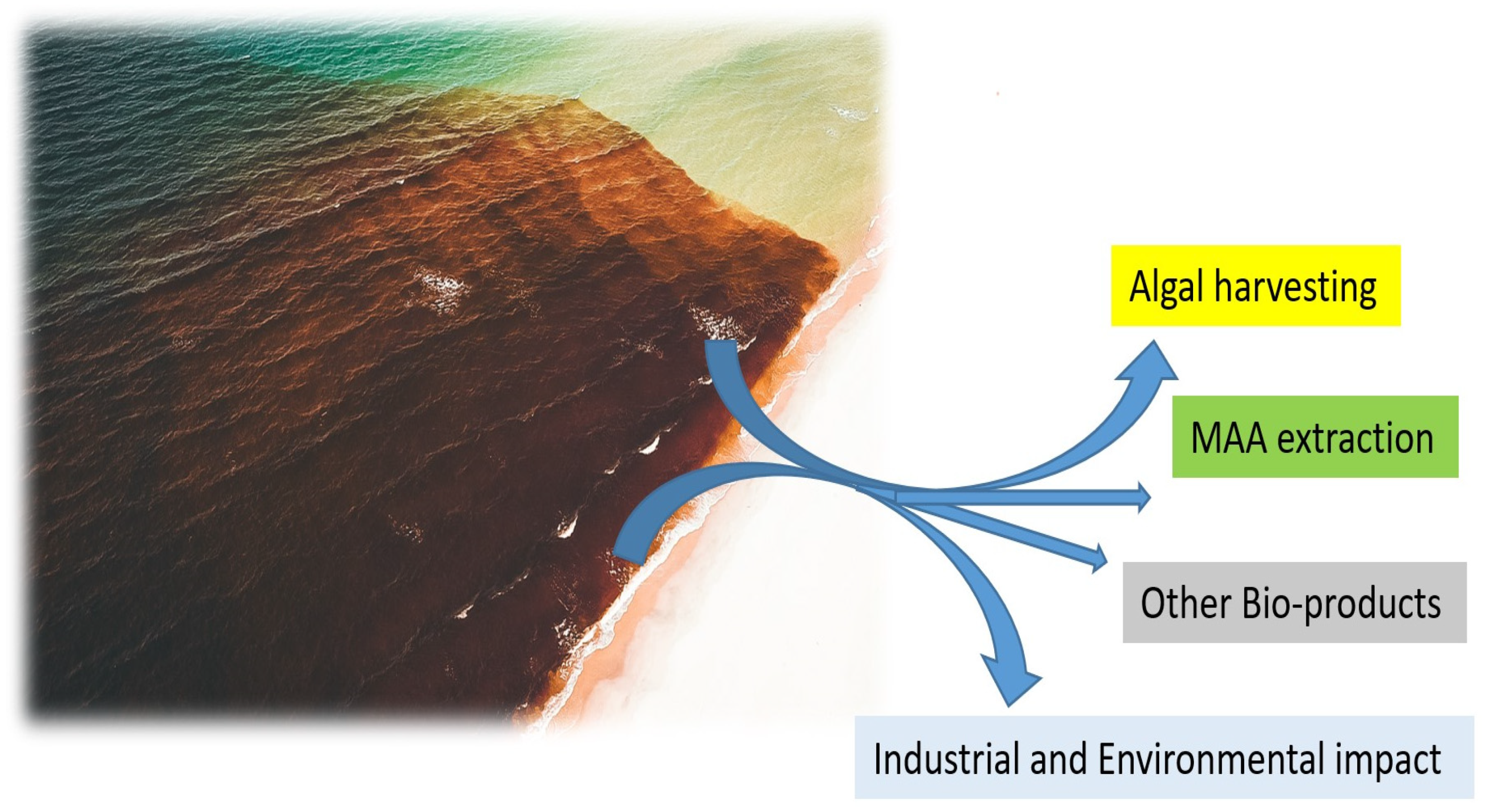 Marinedrugs 21 00633 g003 Marinedrugs 21 00633 g003