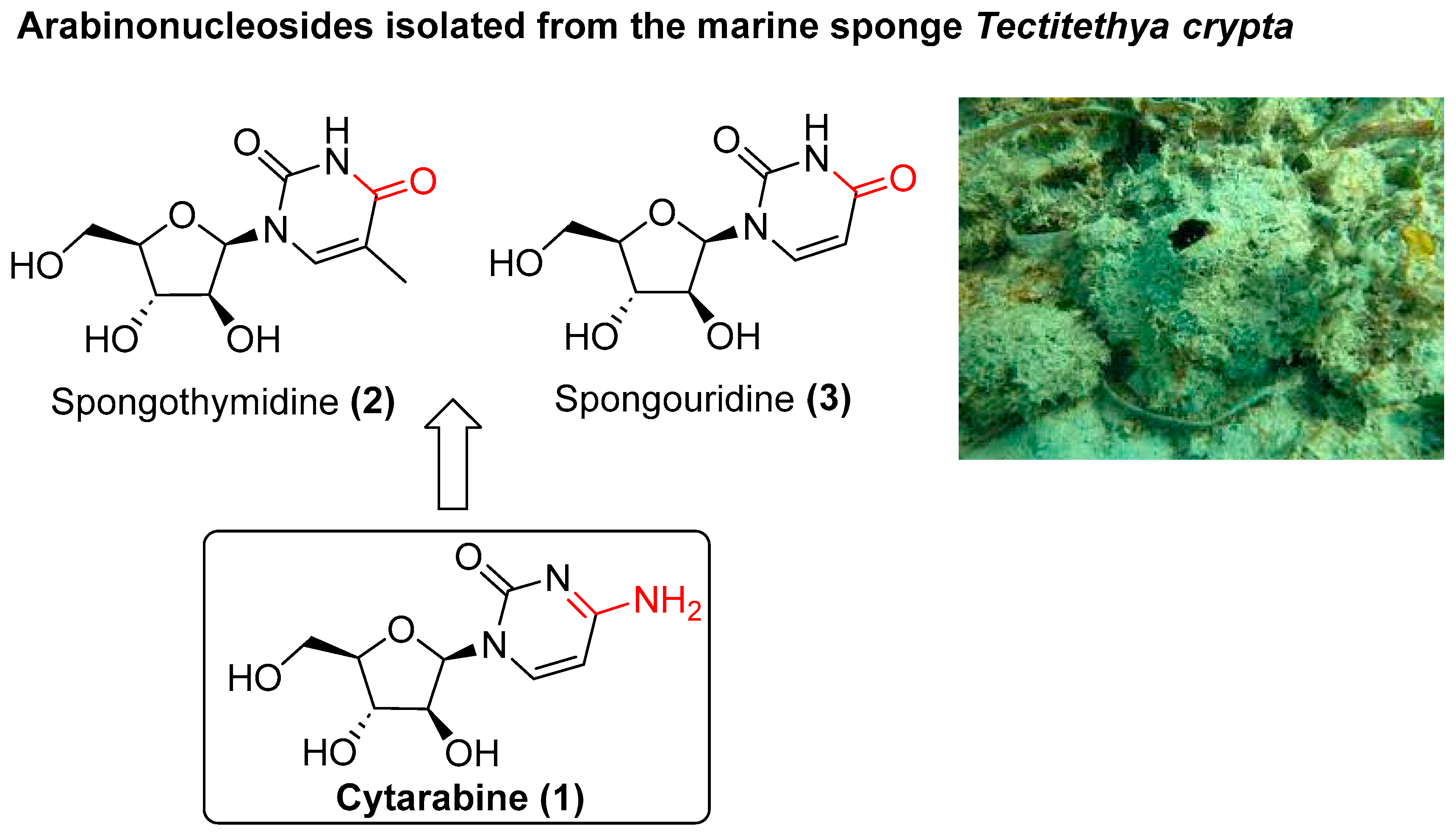 Marinedrugs 21 00637 g001