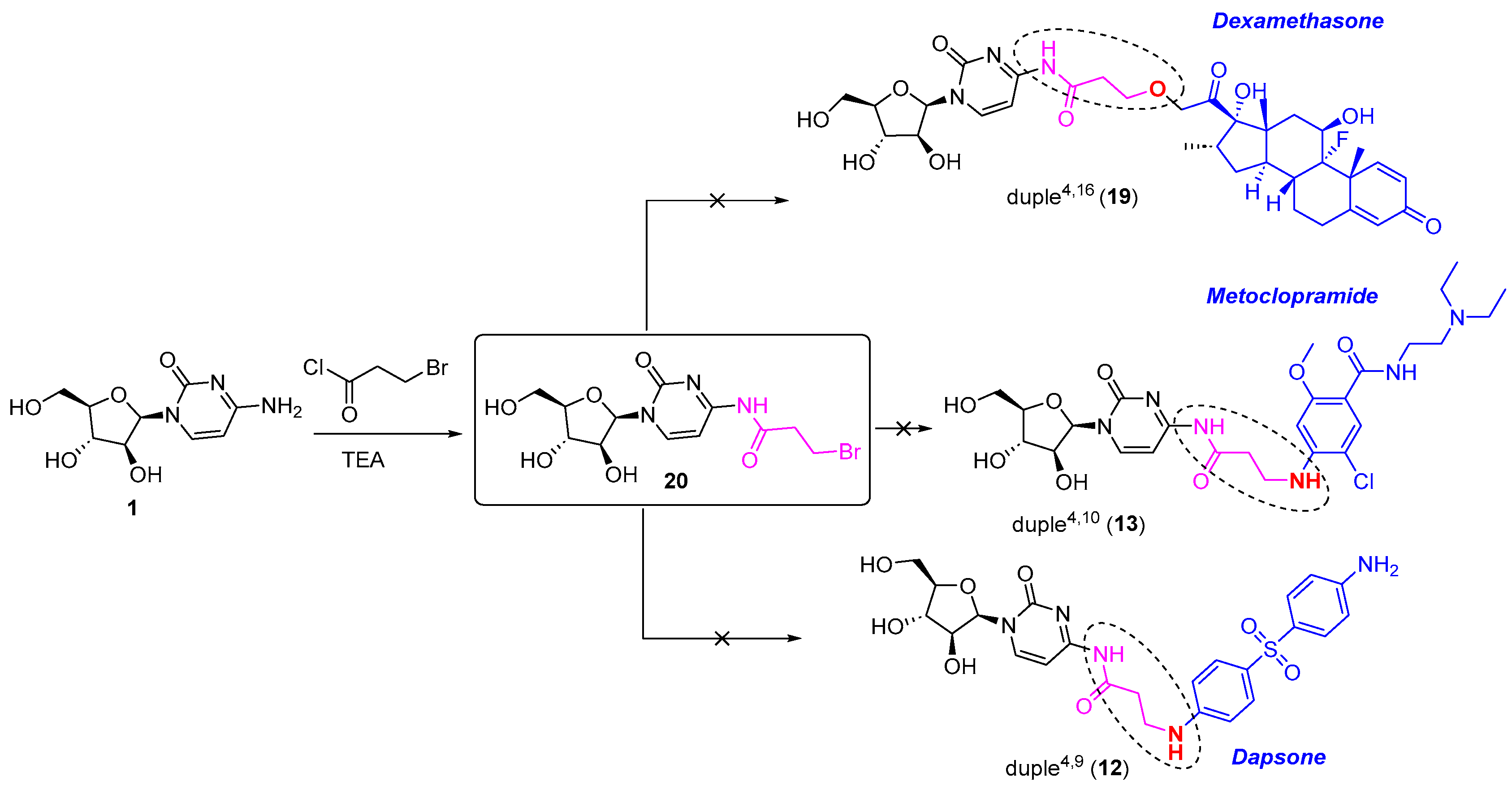 Marinedrugs 21 00637 sch003