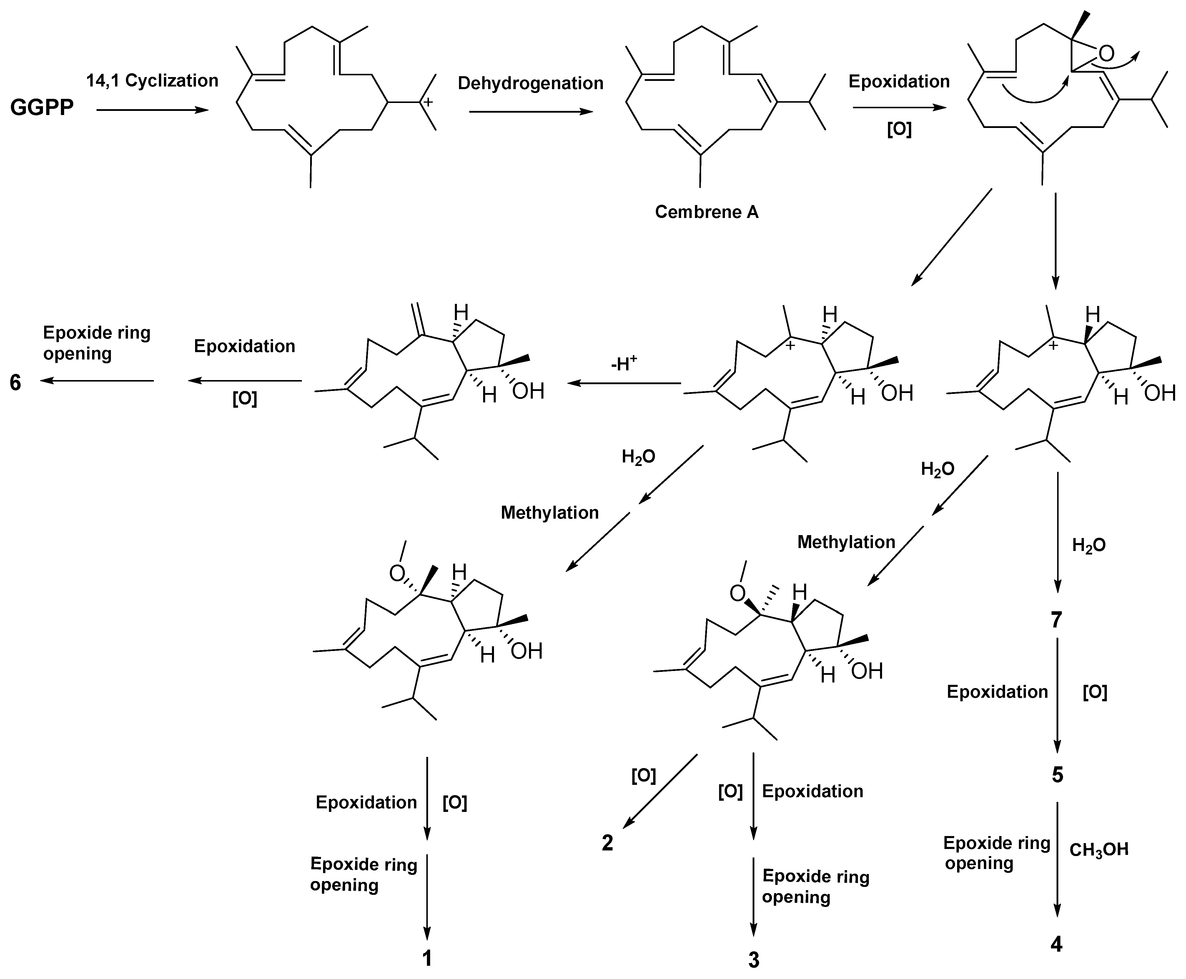 Marinedrugs 21 00645 sch001