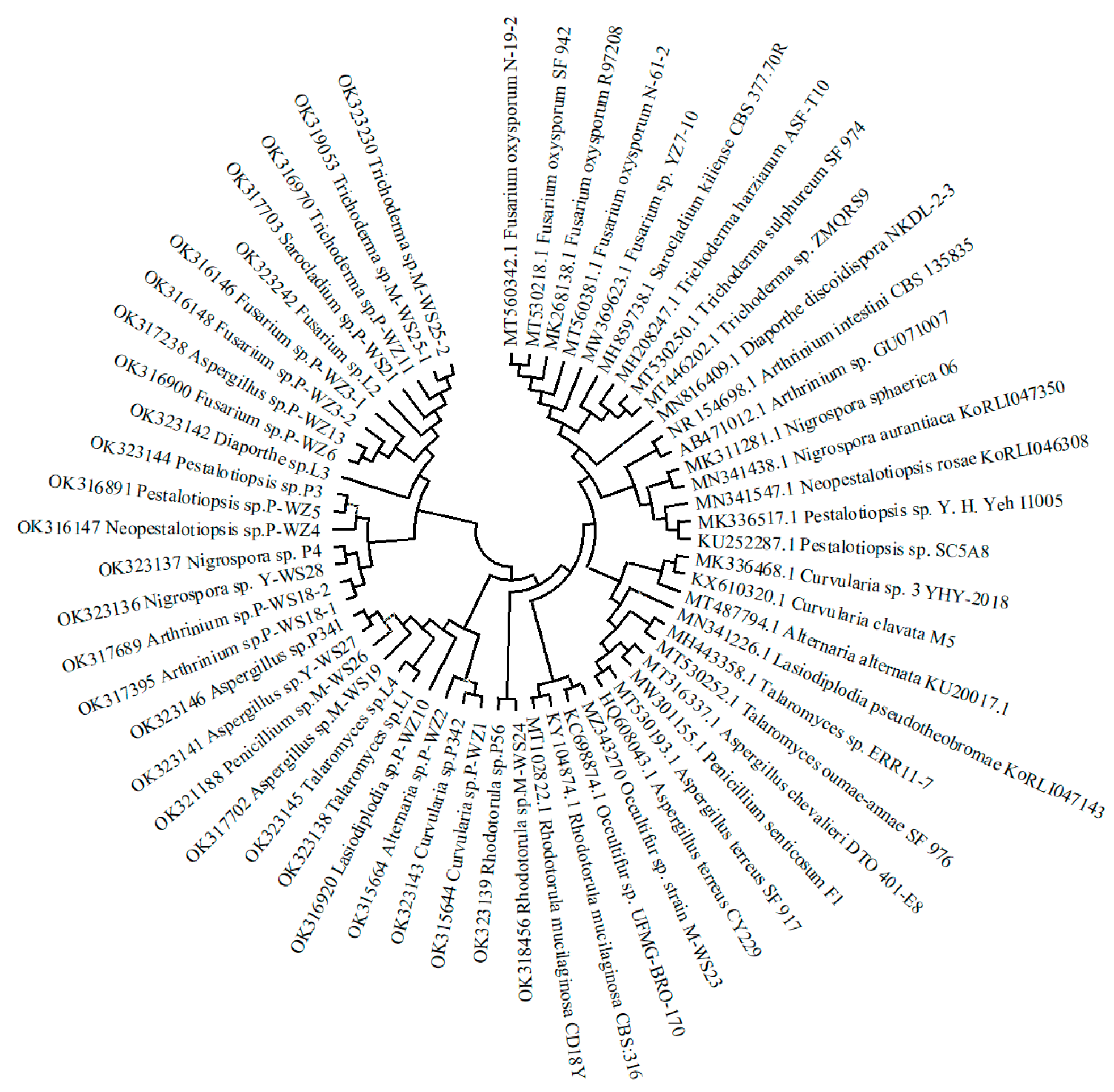 Marinedrugs 21 00646 g002 Marinedrugs 21 00646 g002