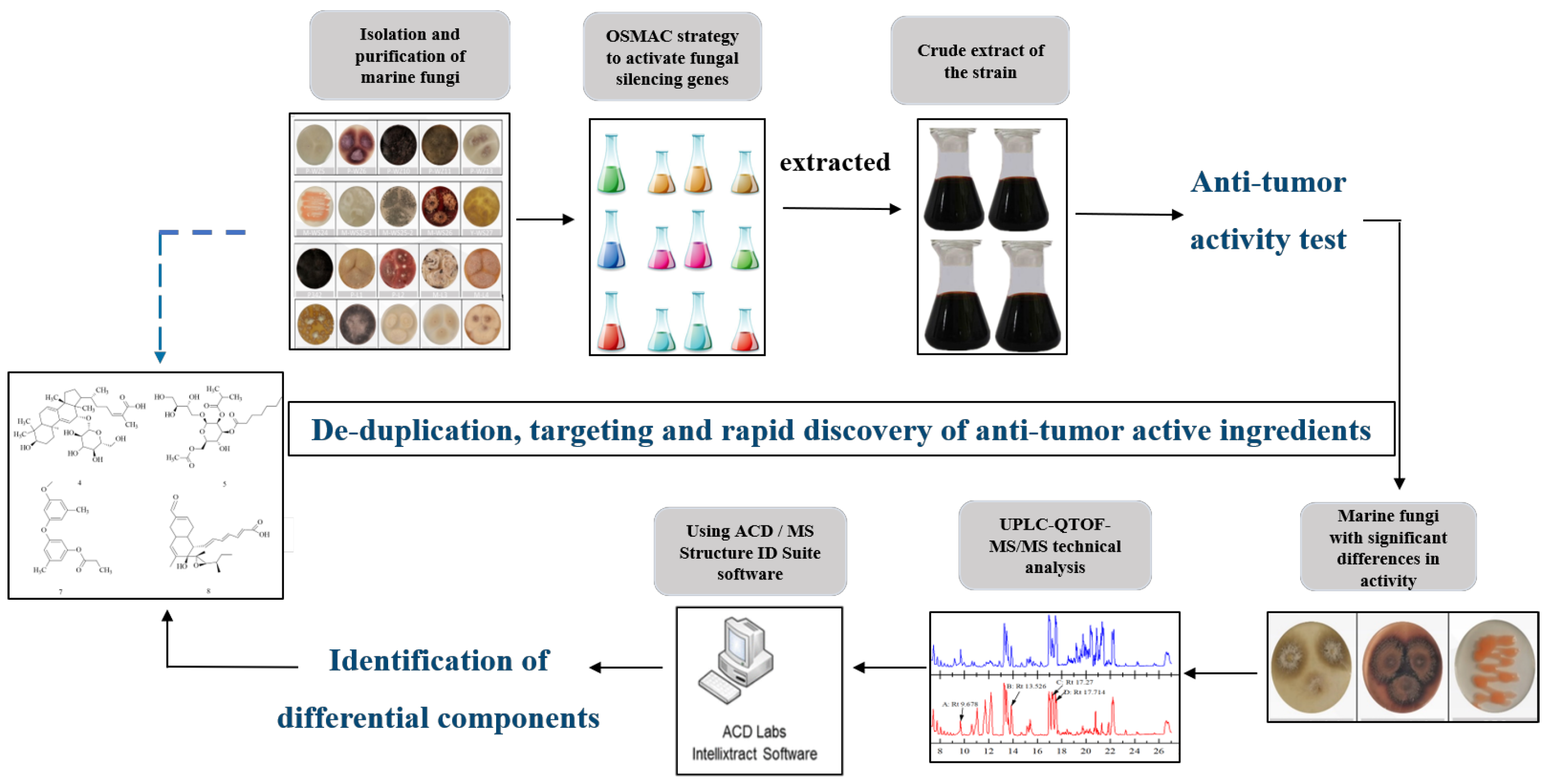 Marinedrugs 21 00646 g006 Marinedrugs 21 00646 g006