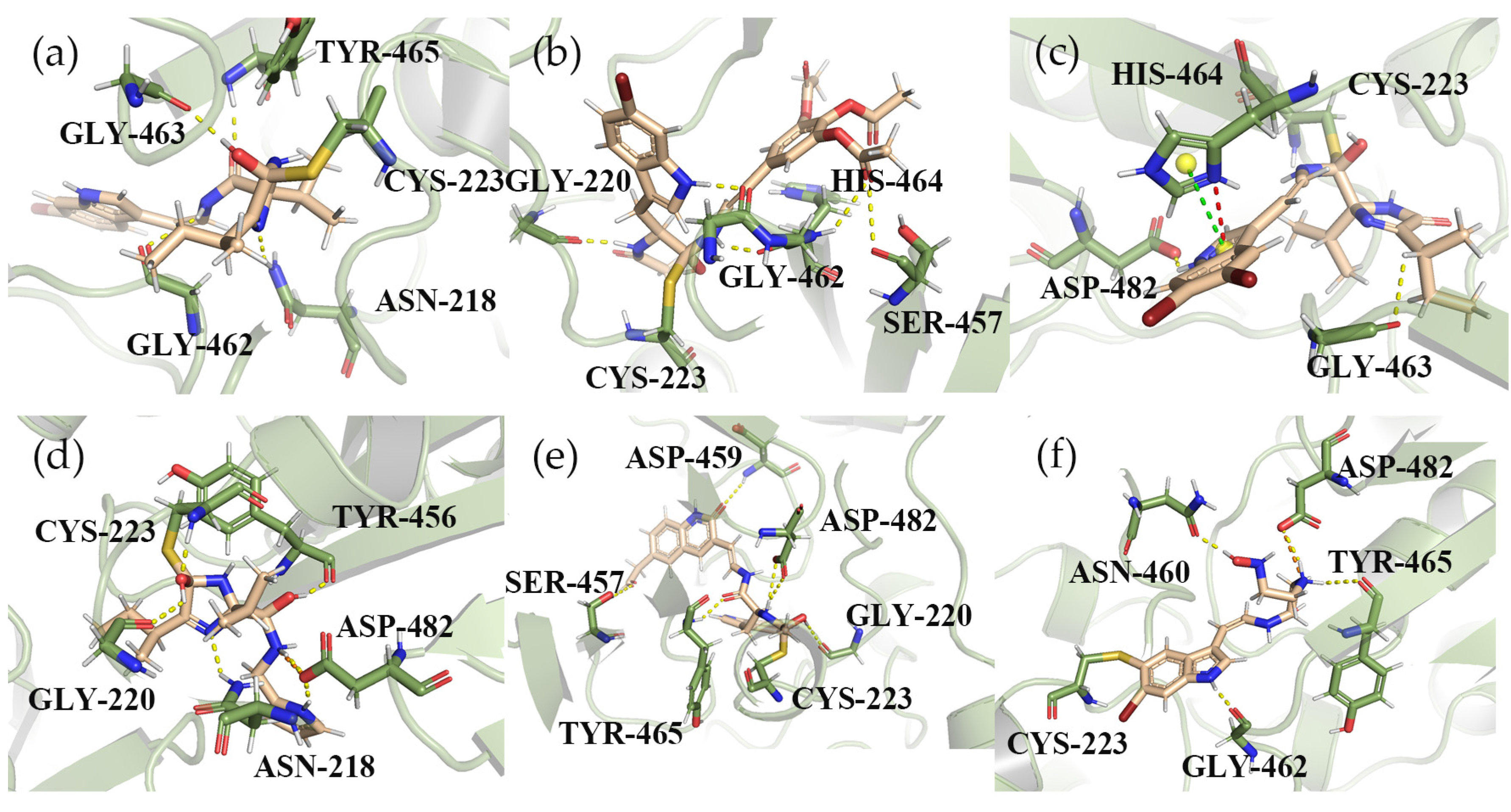 Marinedrugs 22 00001 g006