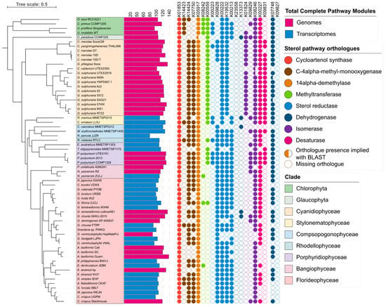 To gel or not to gel: differential expression of carrageenan-related genes  between the gametophyte and tetasporophyte life cycle stages of the red  alga Chondrus crispus