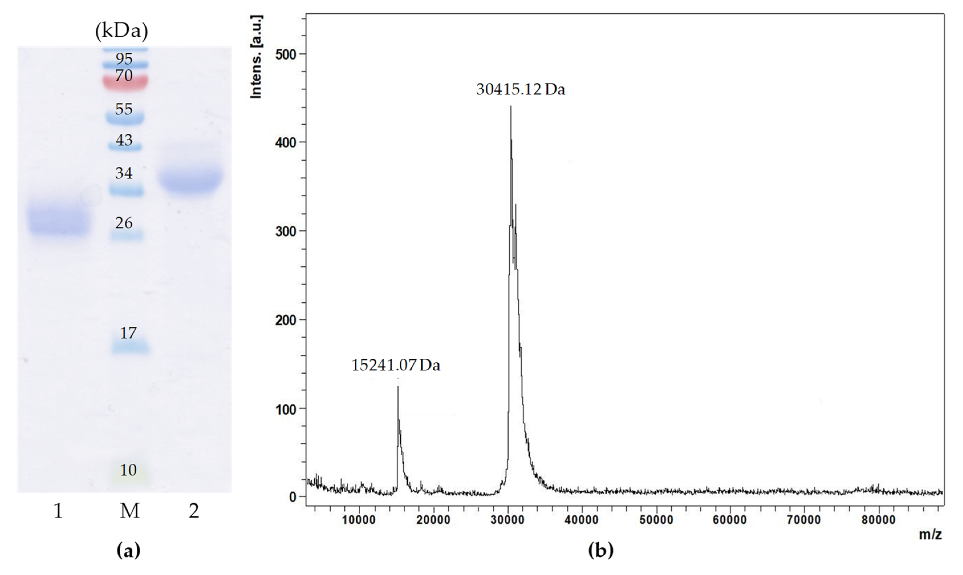 Marinedrugs 22 00027 g002