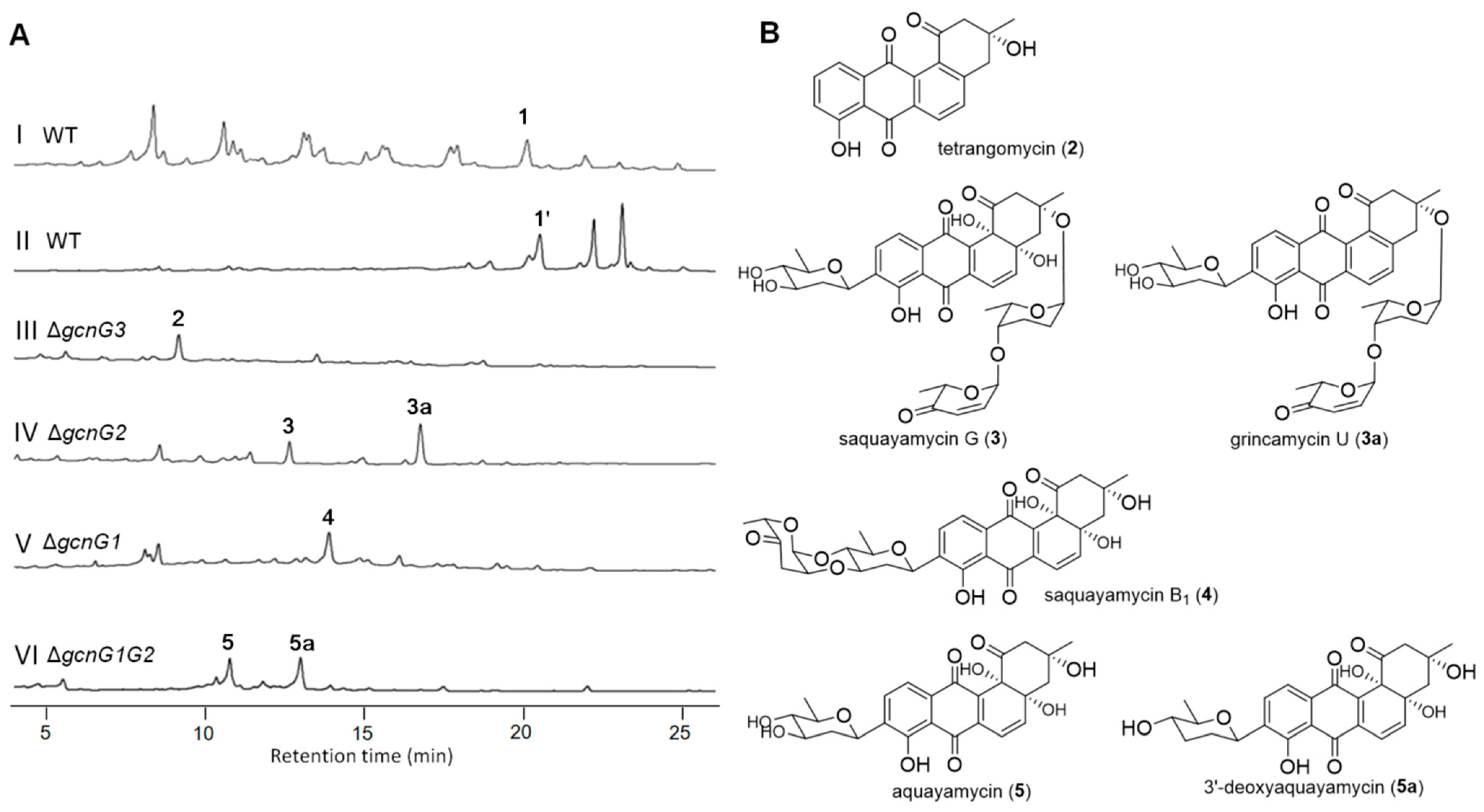 Marinedrugs 22 00032 g002 Marinedrugs 22 00032 g002