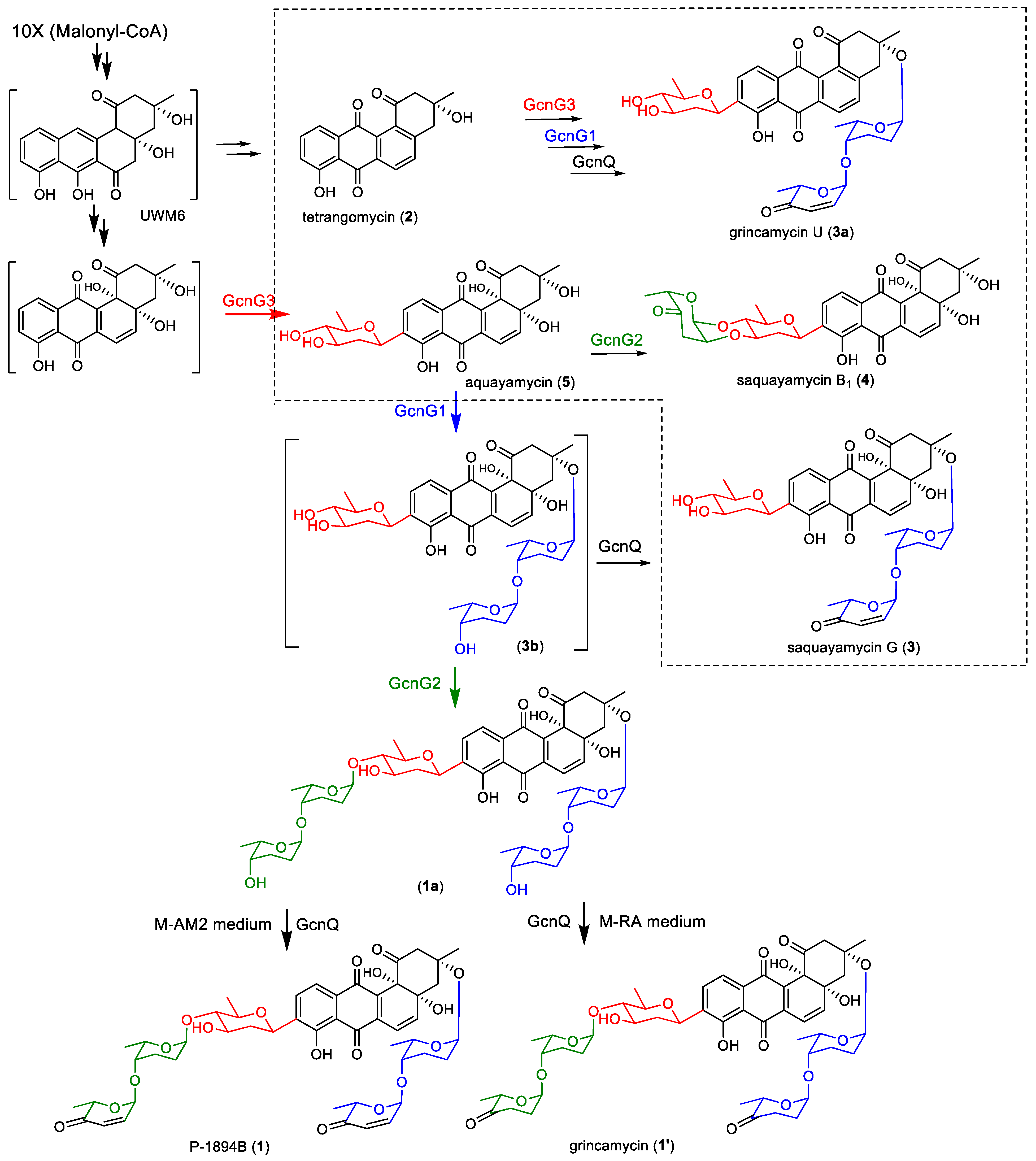 Marinedrugs 22 00032 g005 Marinedrugs 22 00032 g005
