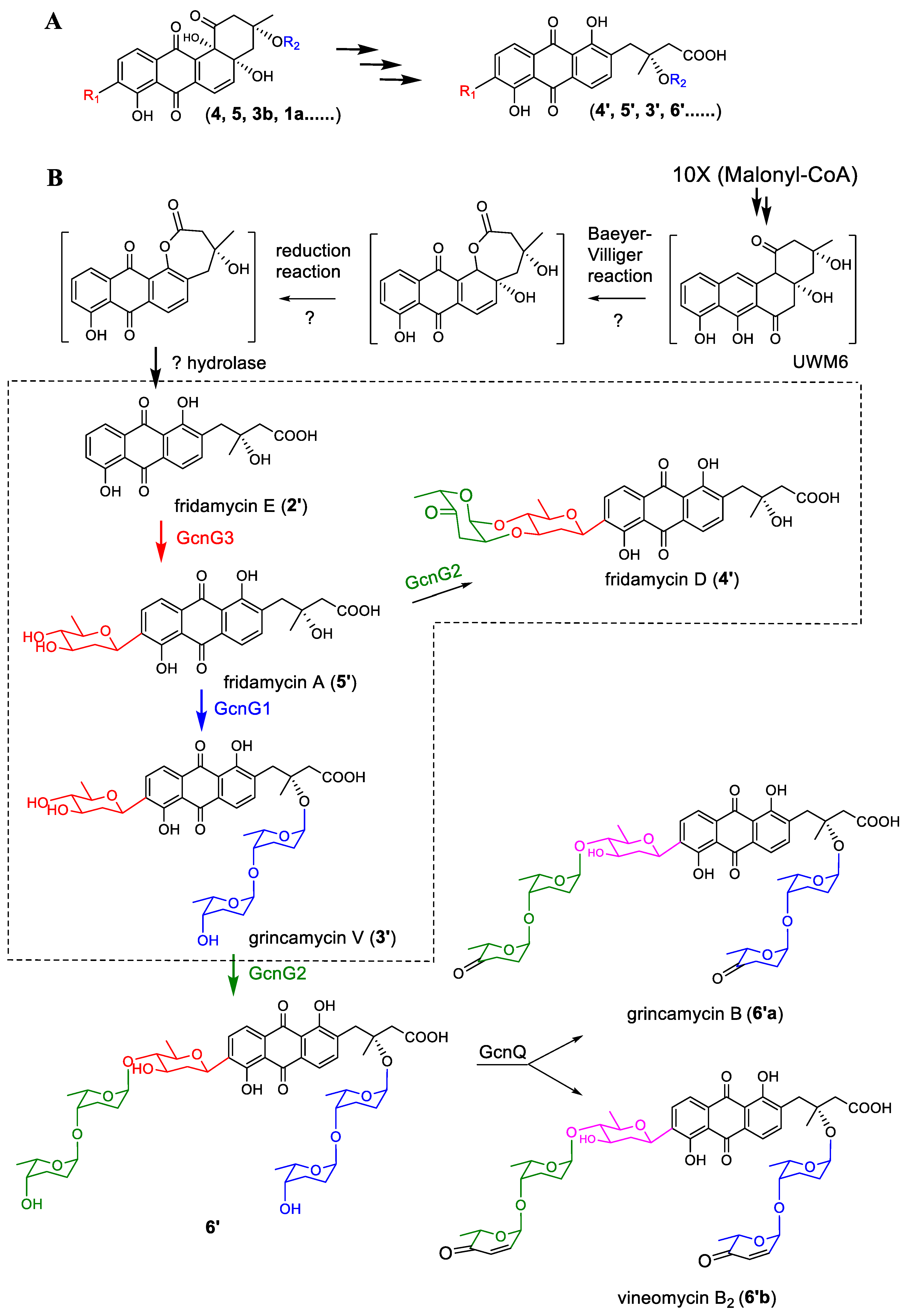 Marinedrugs 22 00032 g006 Marinedrugs 22 00032 g006