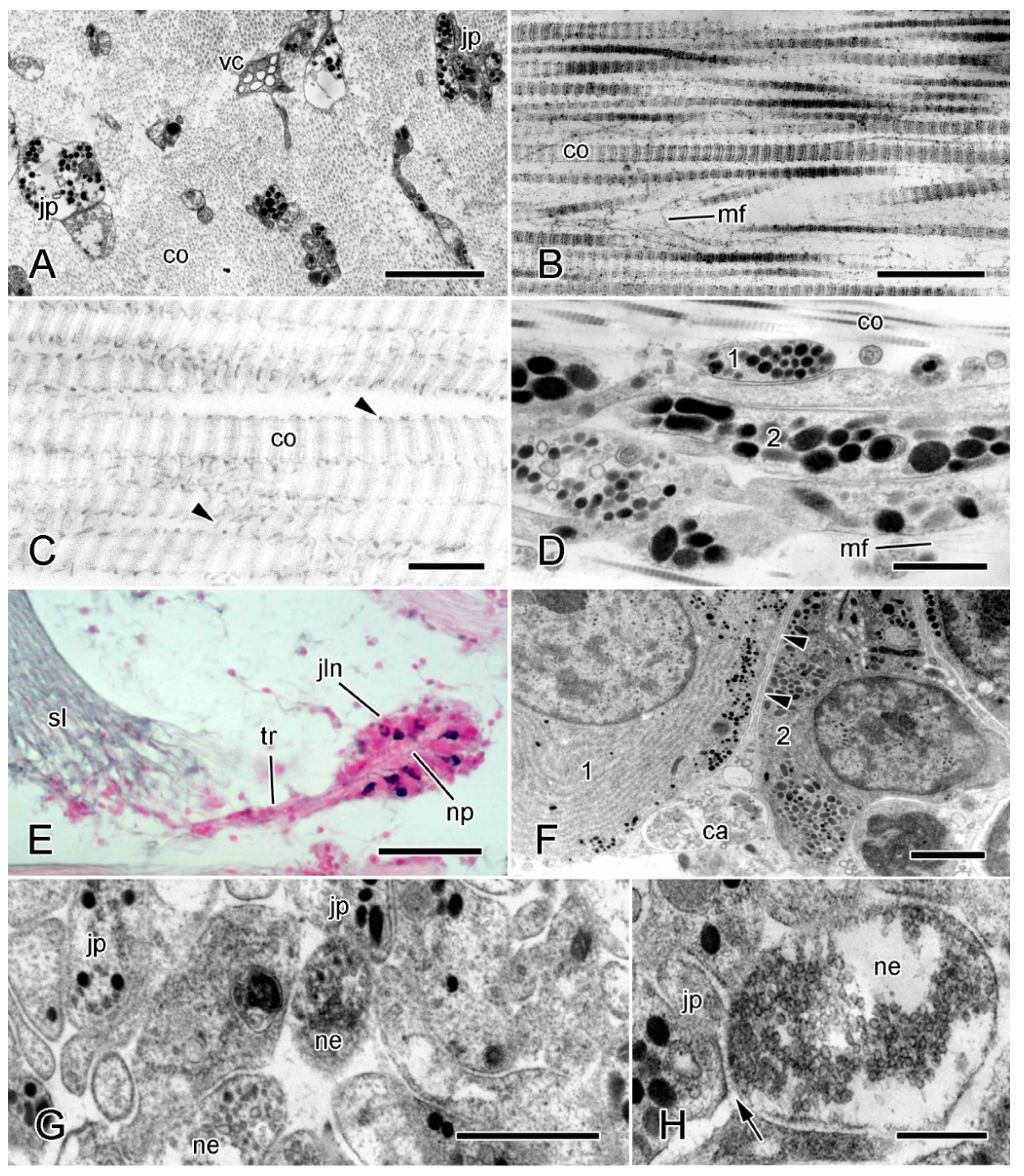 Marinedrugs 22 00037 g001