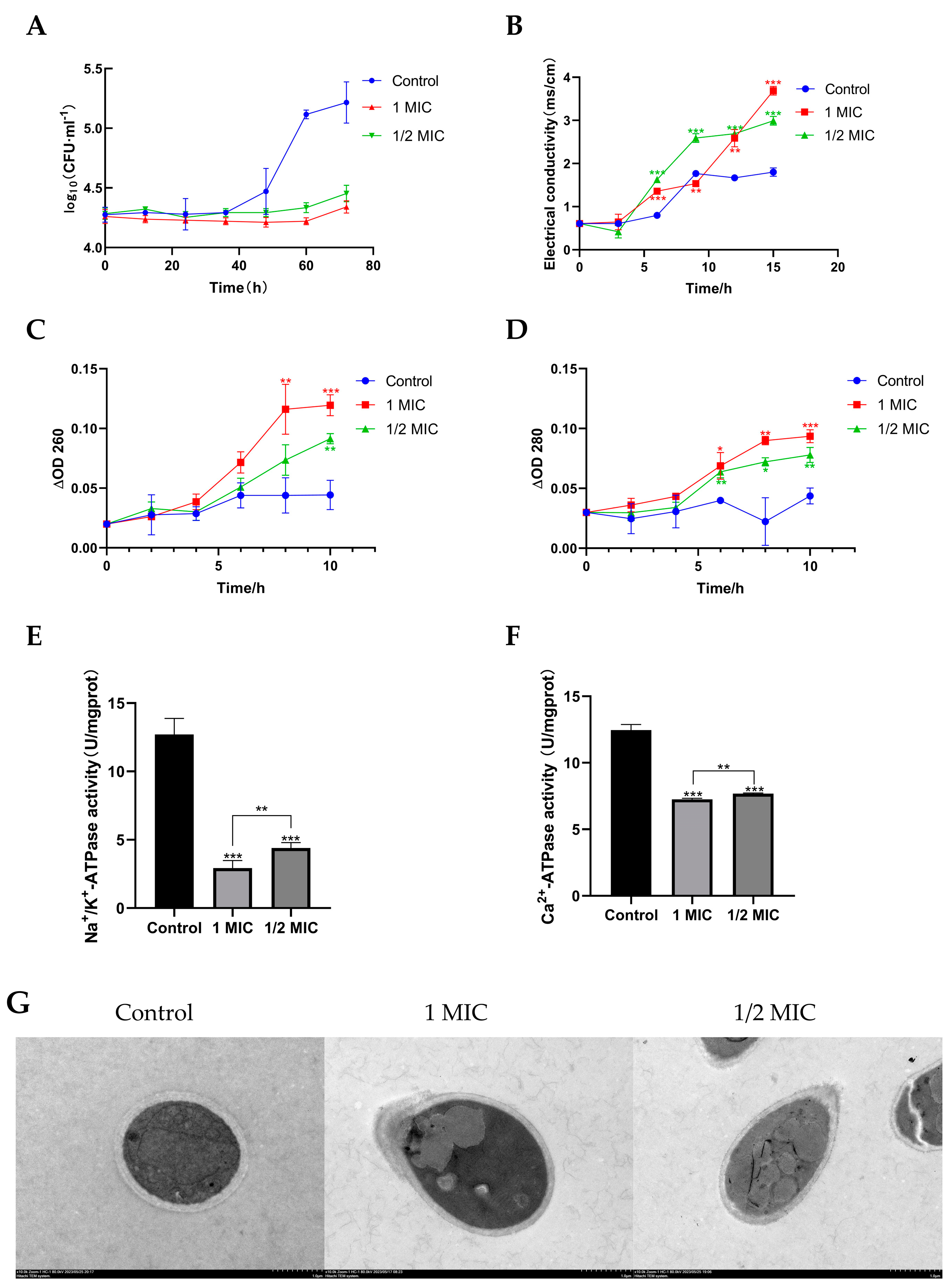 Marinedrugs 22 00038 g004