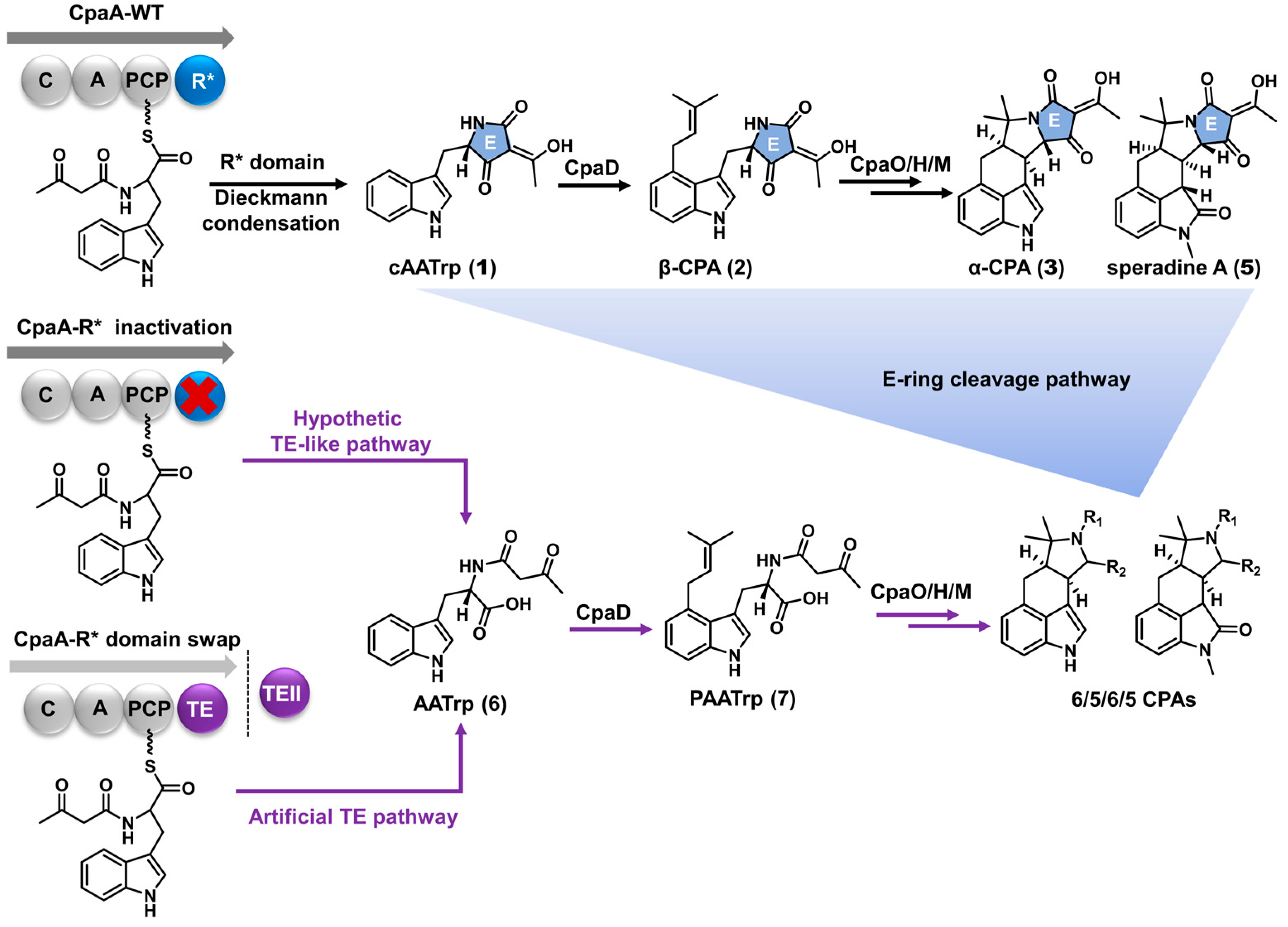 Marinedrugs 22 00074 sch001