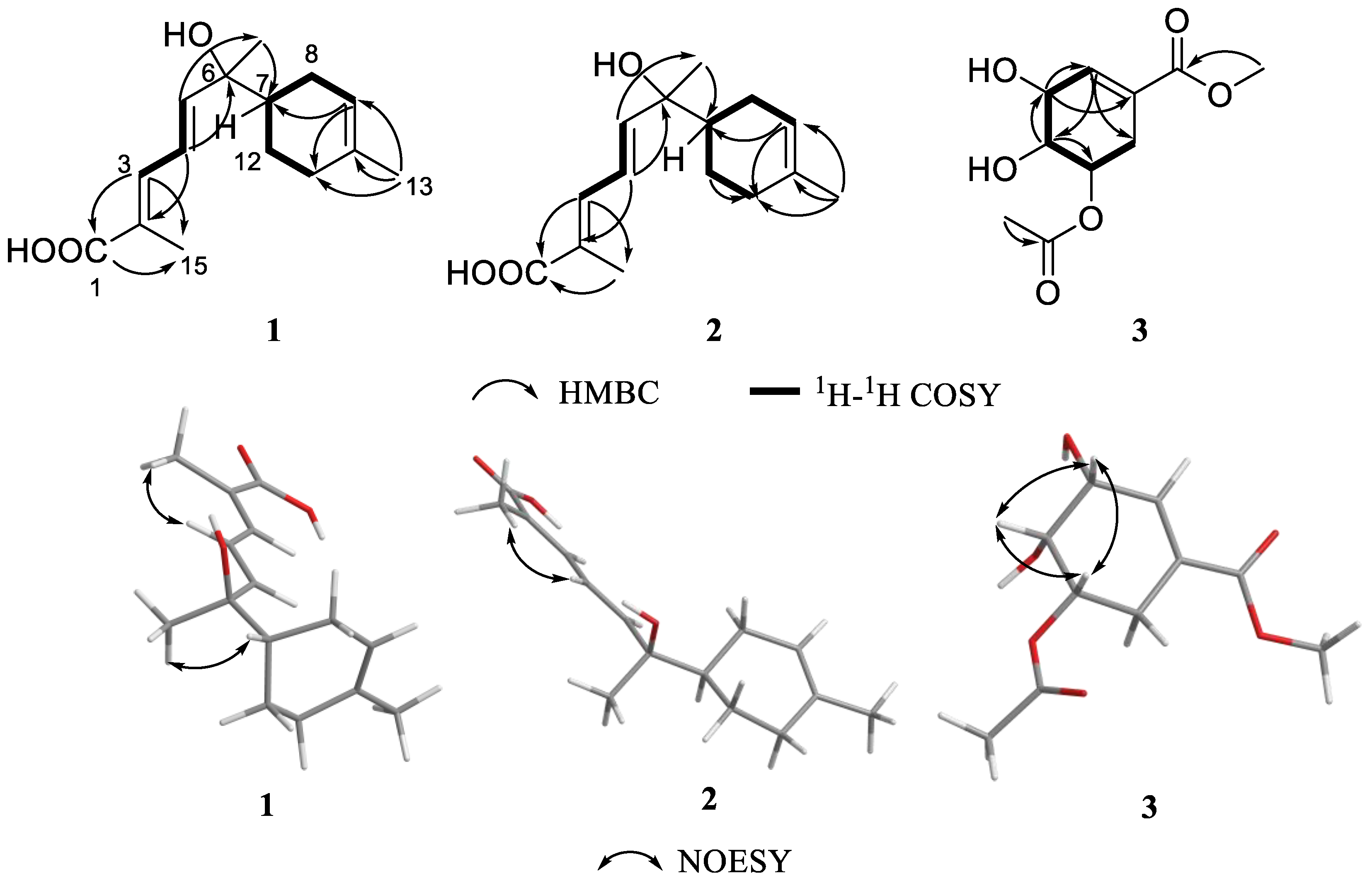 Marinedrugs 22 00103 g002