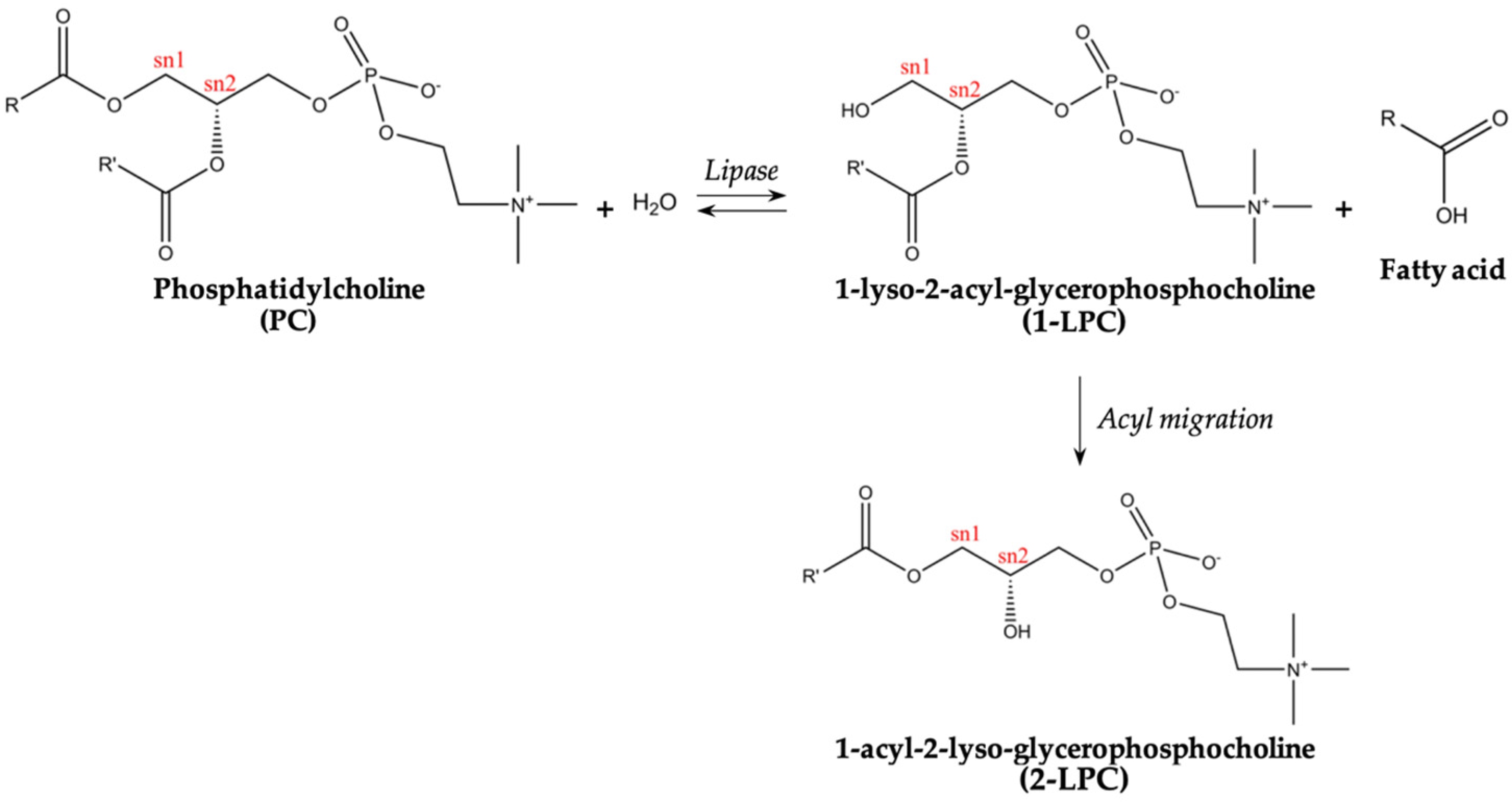 Marinedrugs 22 00116 g002 Marinedrugs 22 00116 g002
