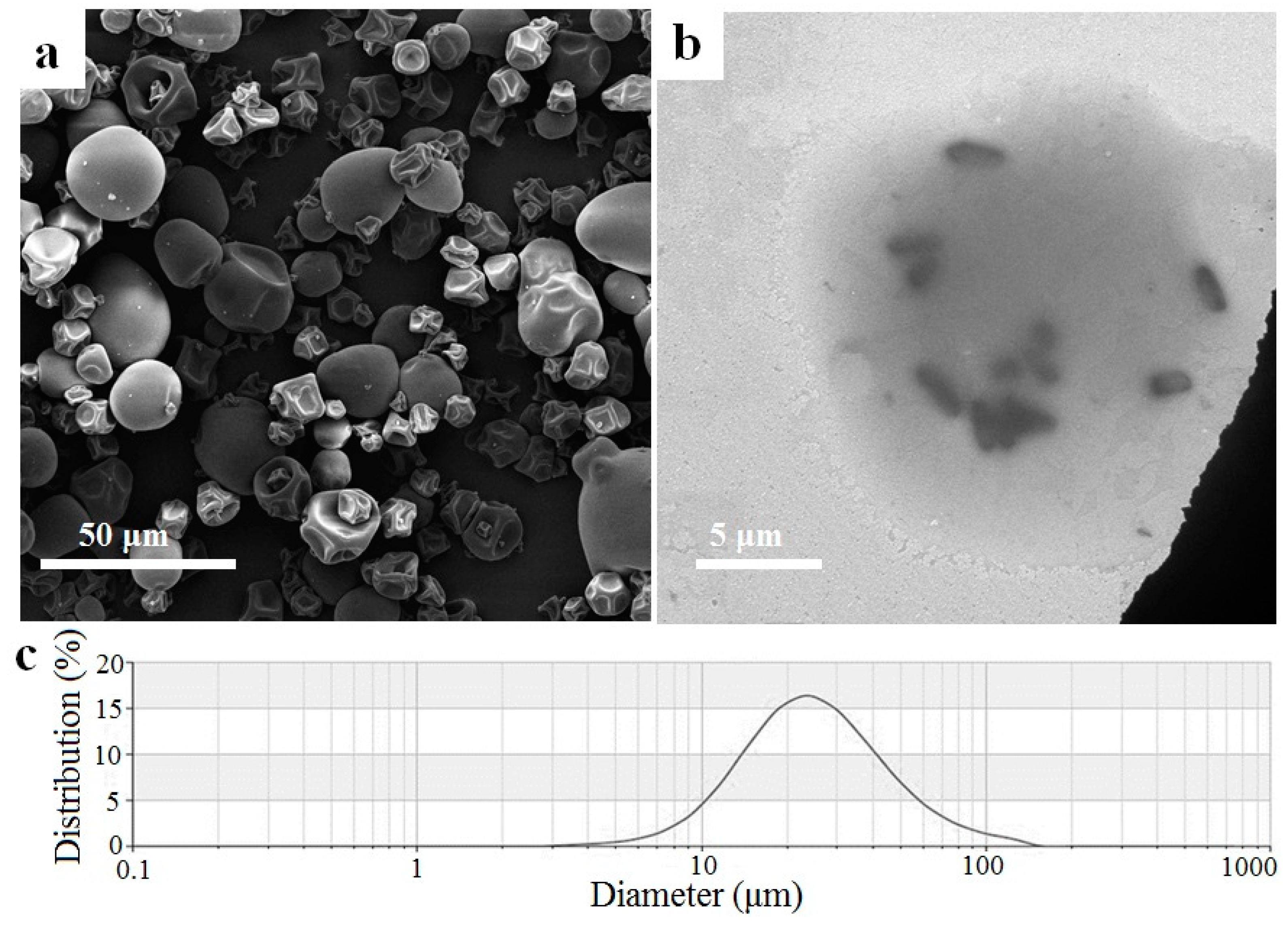 Marinedrugs 22 00124 g005