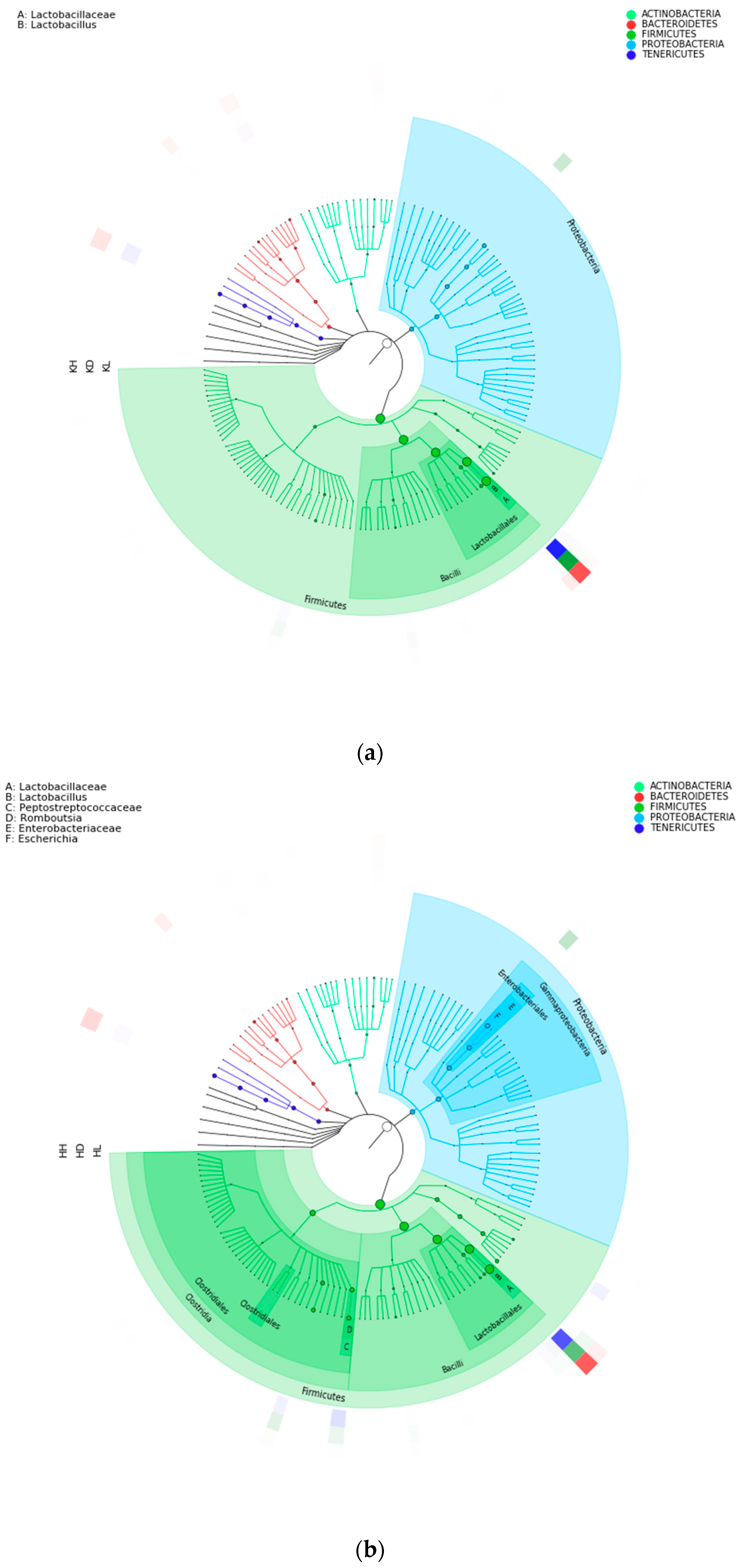 Marinedrugs 22 00125 g006a