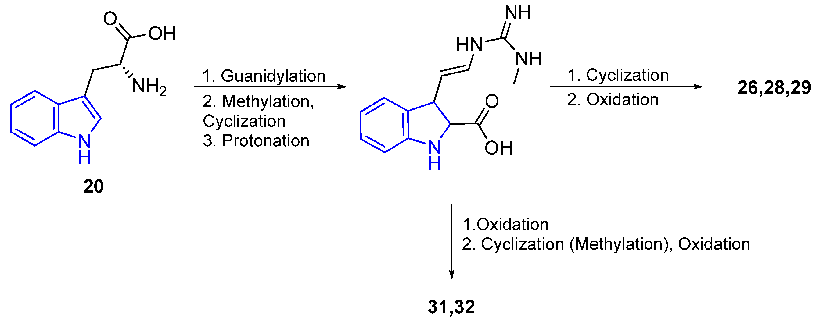 Marinedrugs 22 00126 g011 Marinedrugs 22 00126 g011