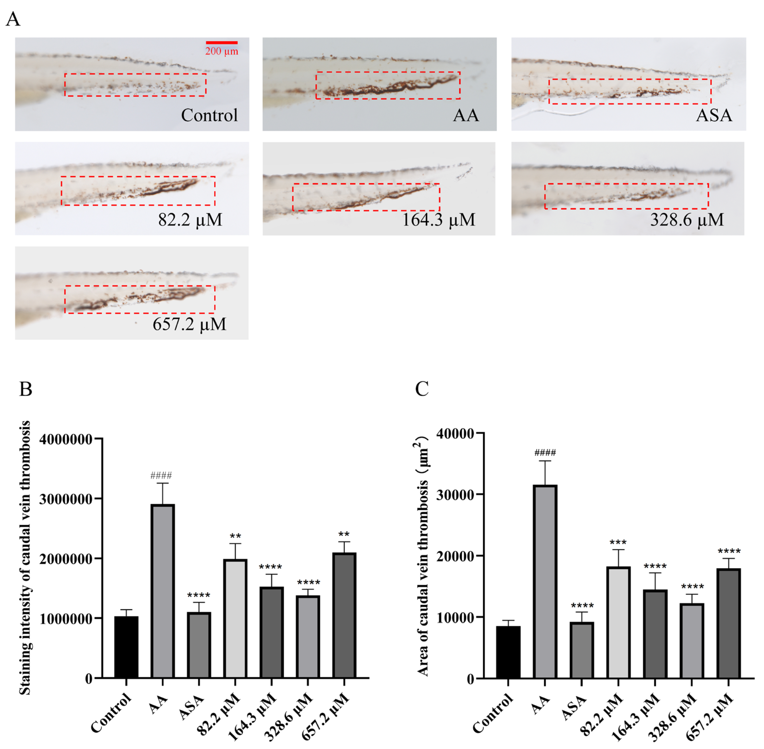 Marinedrugs 22 00148 g003 Marinedrugs 22 00148 g003