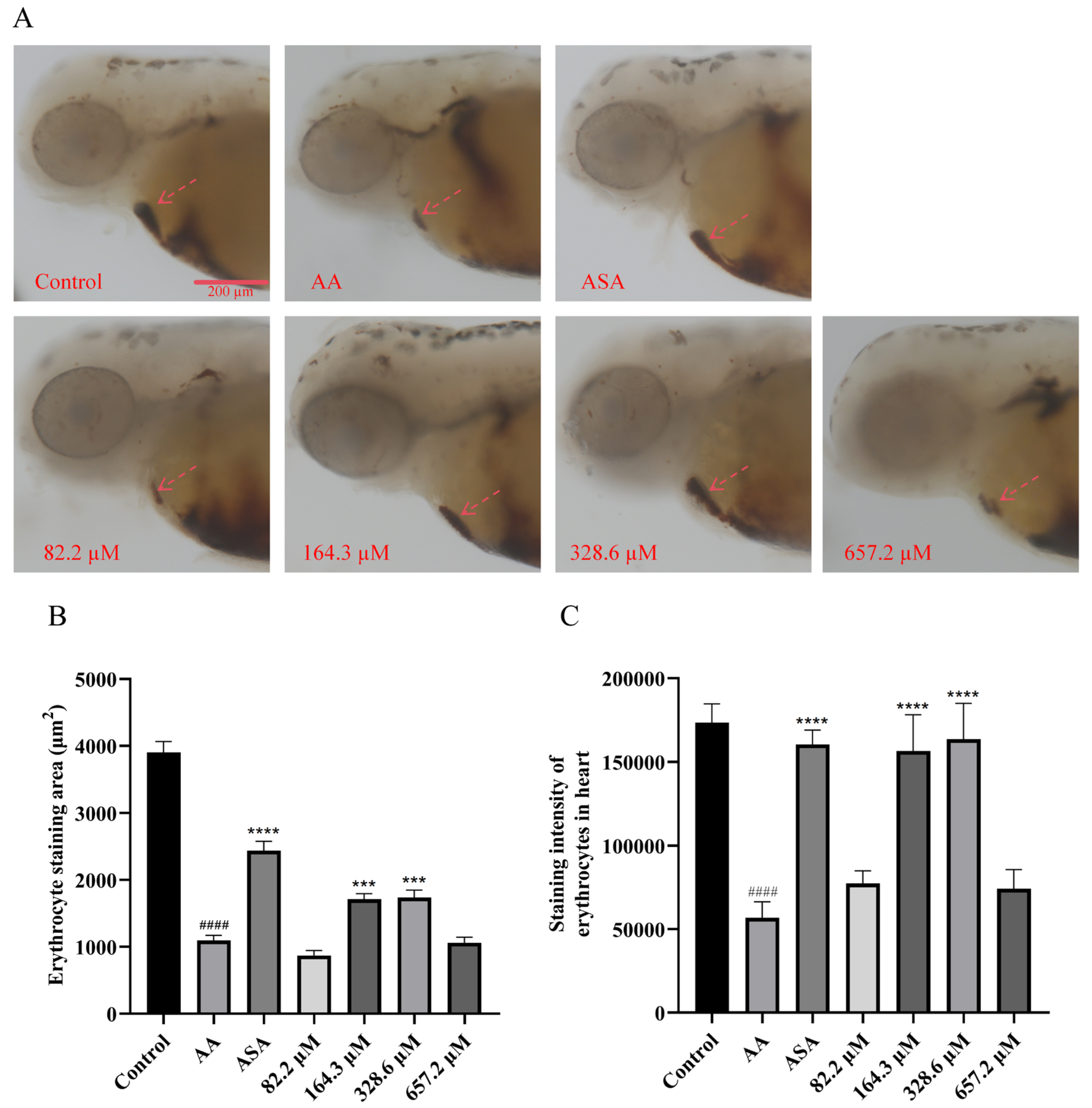 Marinedrugs 22 00148 g004 Marinedrugs 22 00148 g004