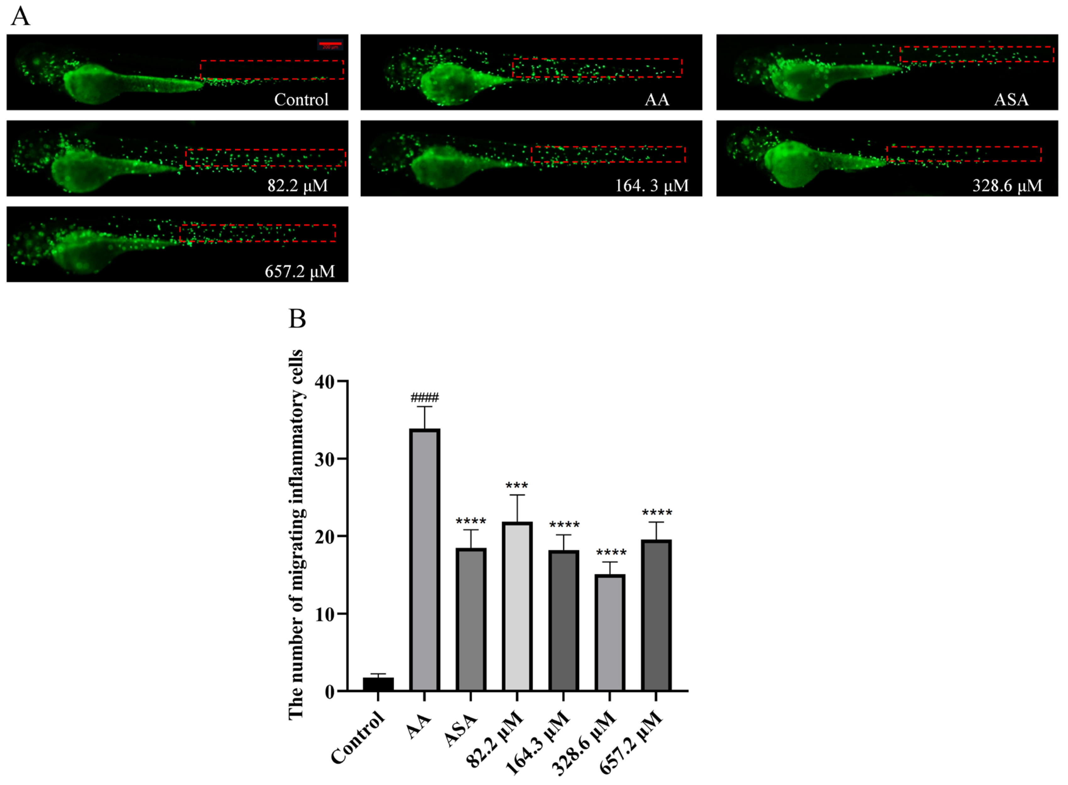 Marinedrugs 22 00148 g005 Marinedrugs 22 00148 g005