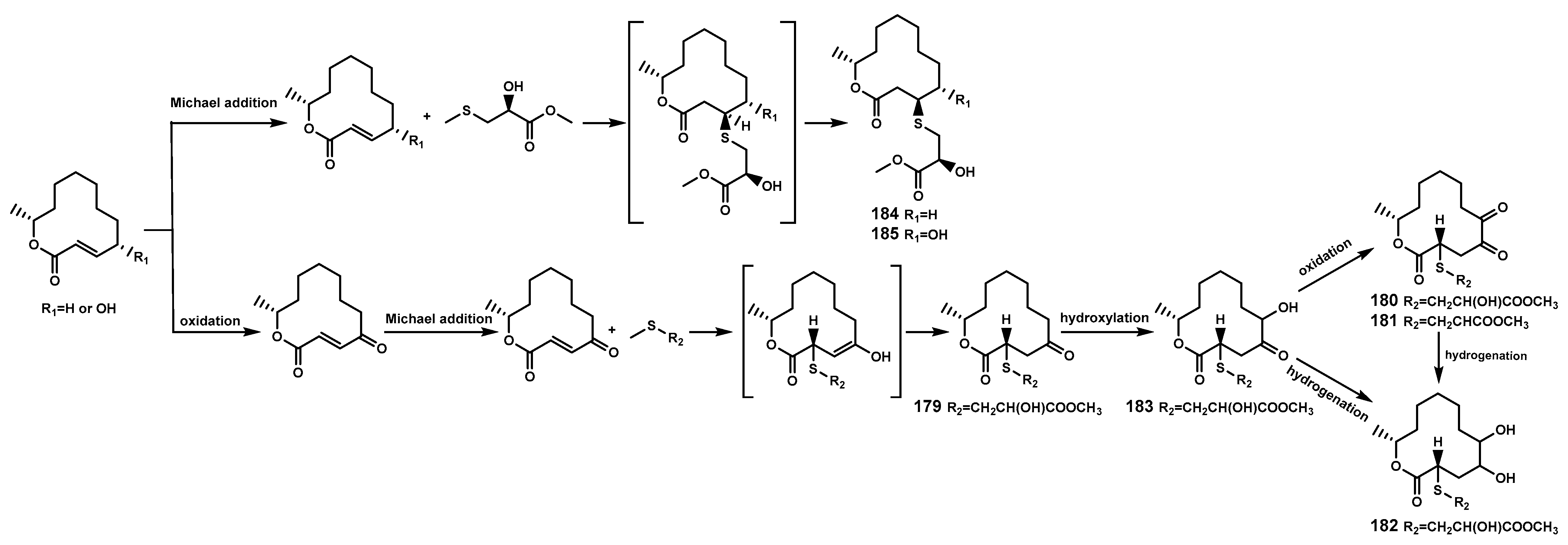 Marinedrugs 22 00158 g009