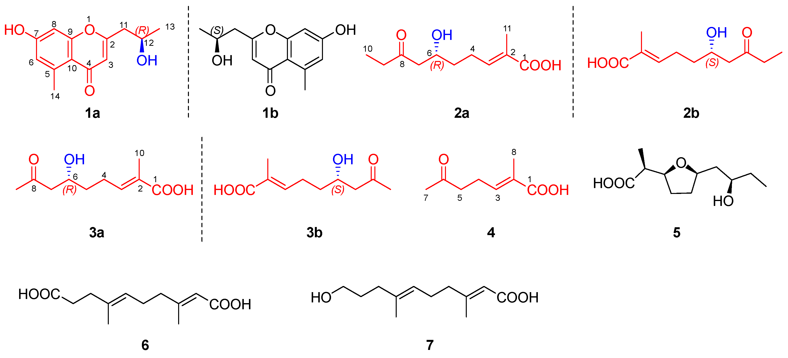 Marinedrugs 22 00181 g003 Marinedrugs 22 00181 g003