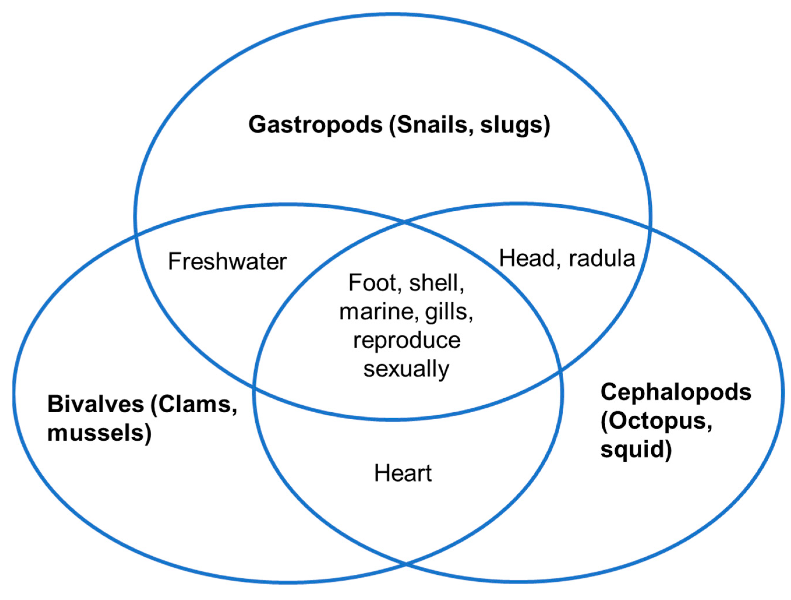 Marinedrugs 22 00201 g002