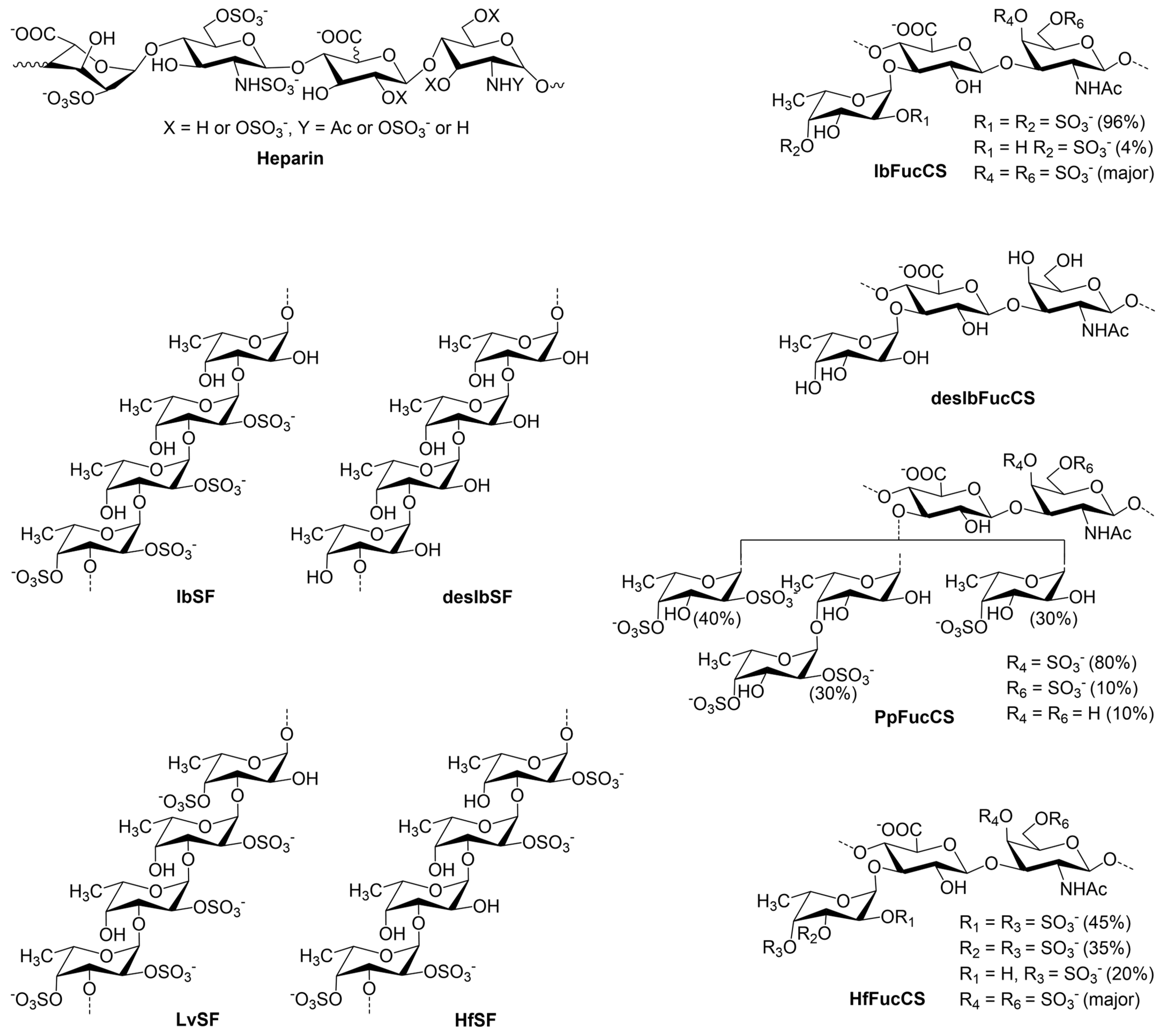 Marinedrugs 22 00232 g001 Marinedrugs 22 00232 g001