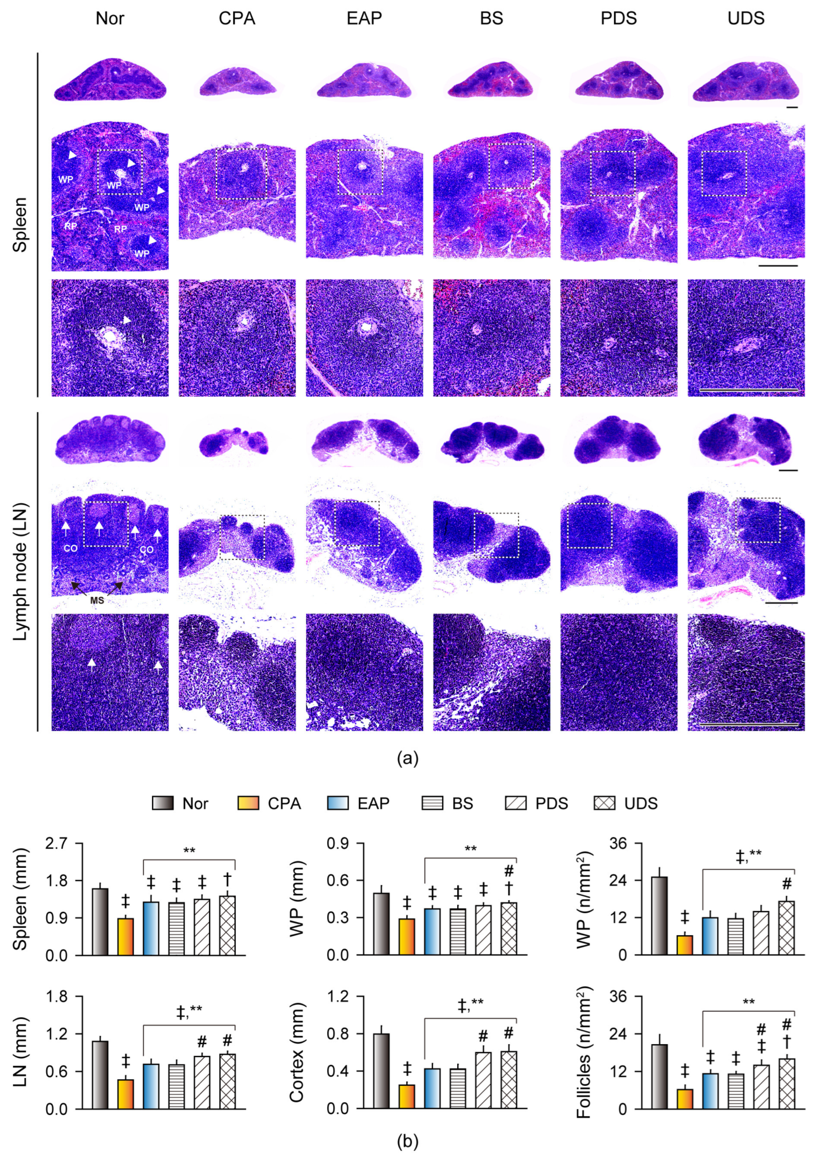Marinedrugs 22 00234 g006