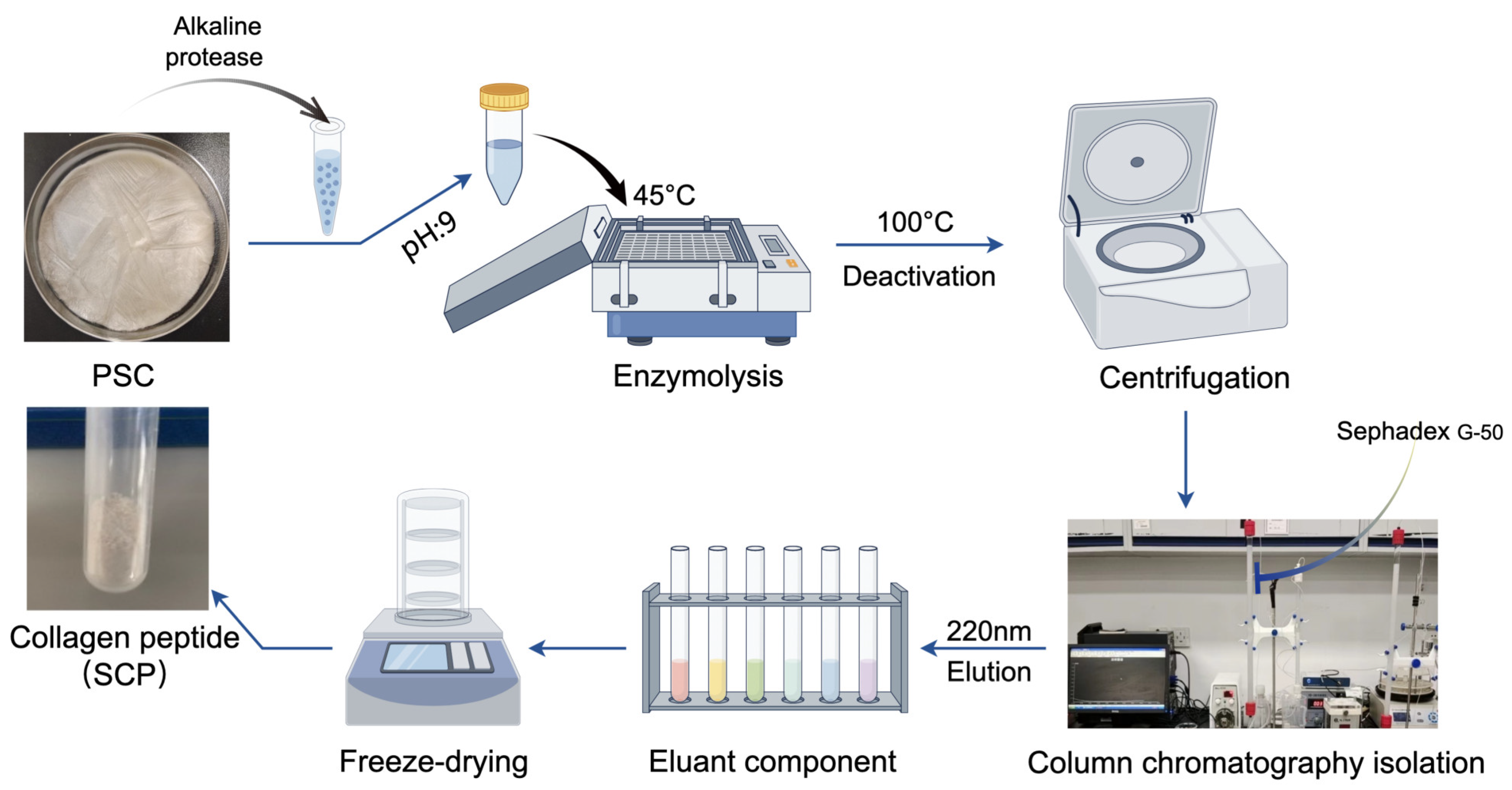 Marinedrugs 22 00255 g009
