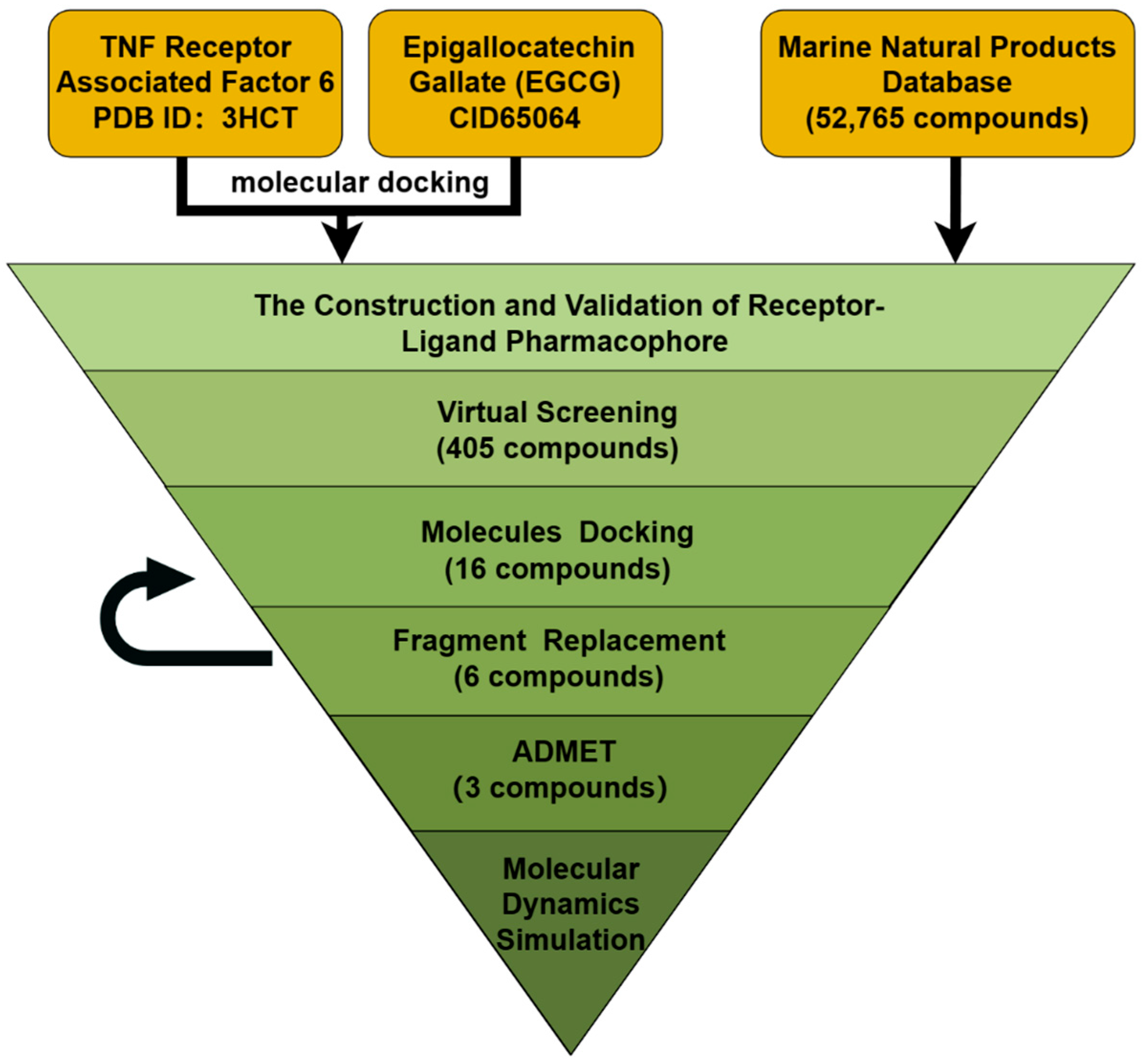 Marinedrugs 22 00260 g002