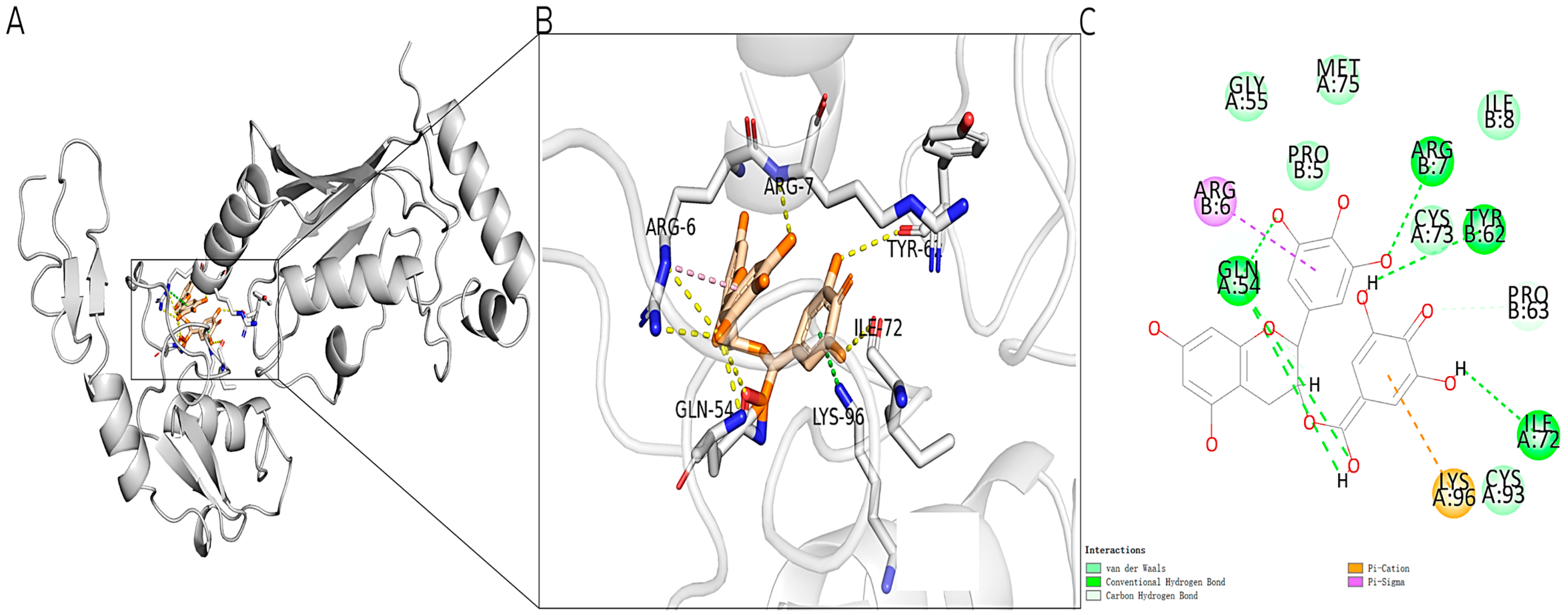Marinedrugs 22 00260 g003