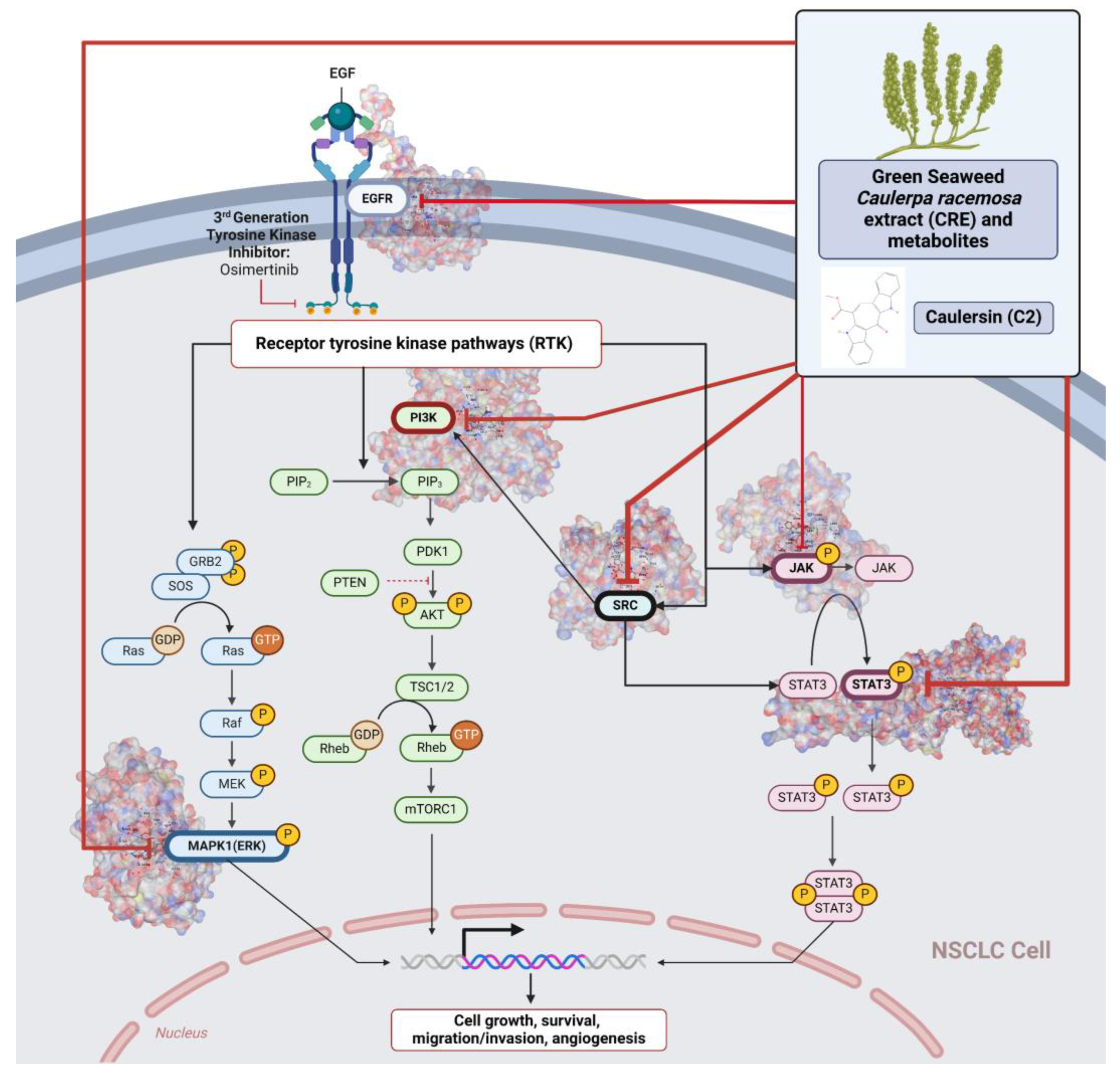 Marinedrugs 22 00272 g003
