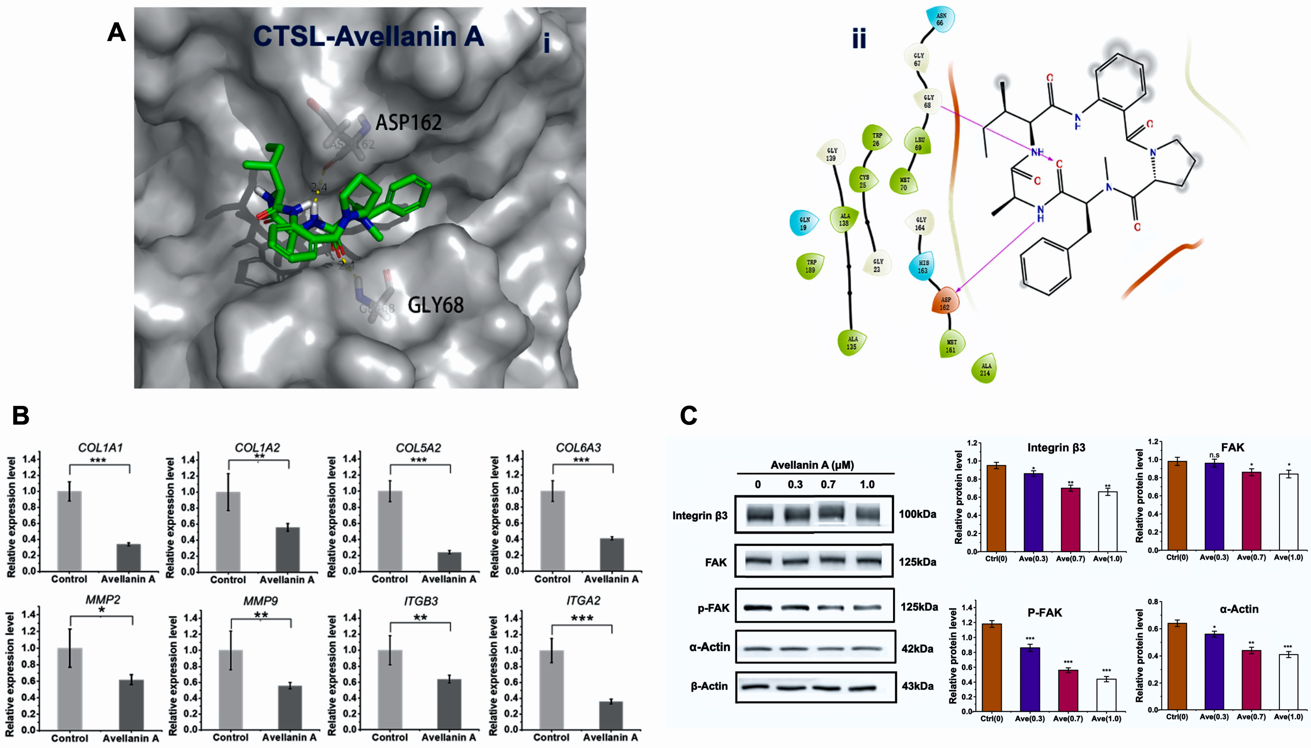 Marinedrugs 22 00275 g004