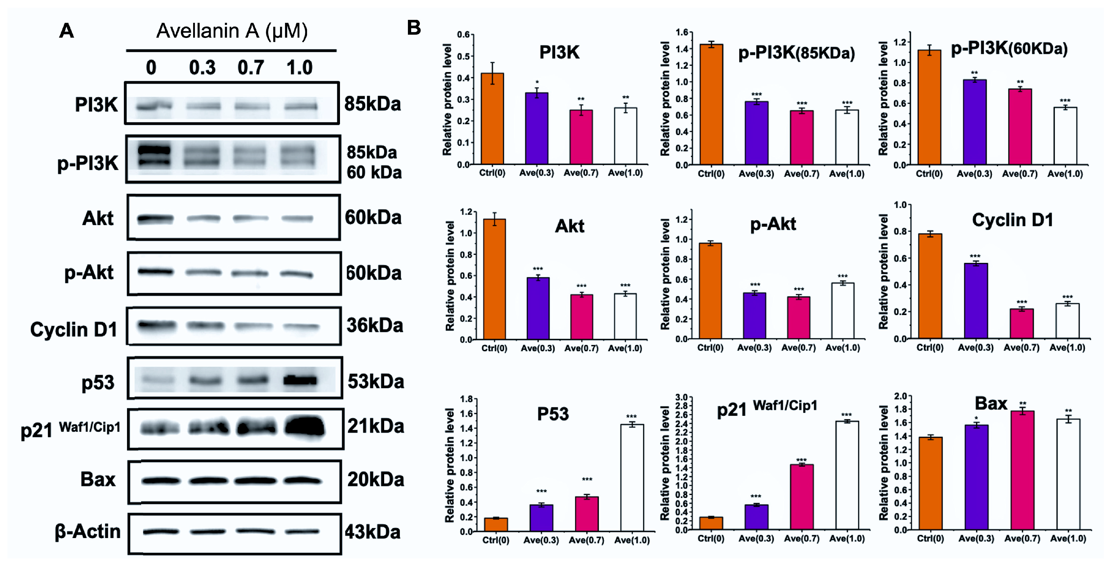 Marinedrugs 22 00275 g005