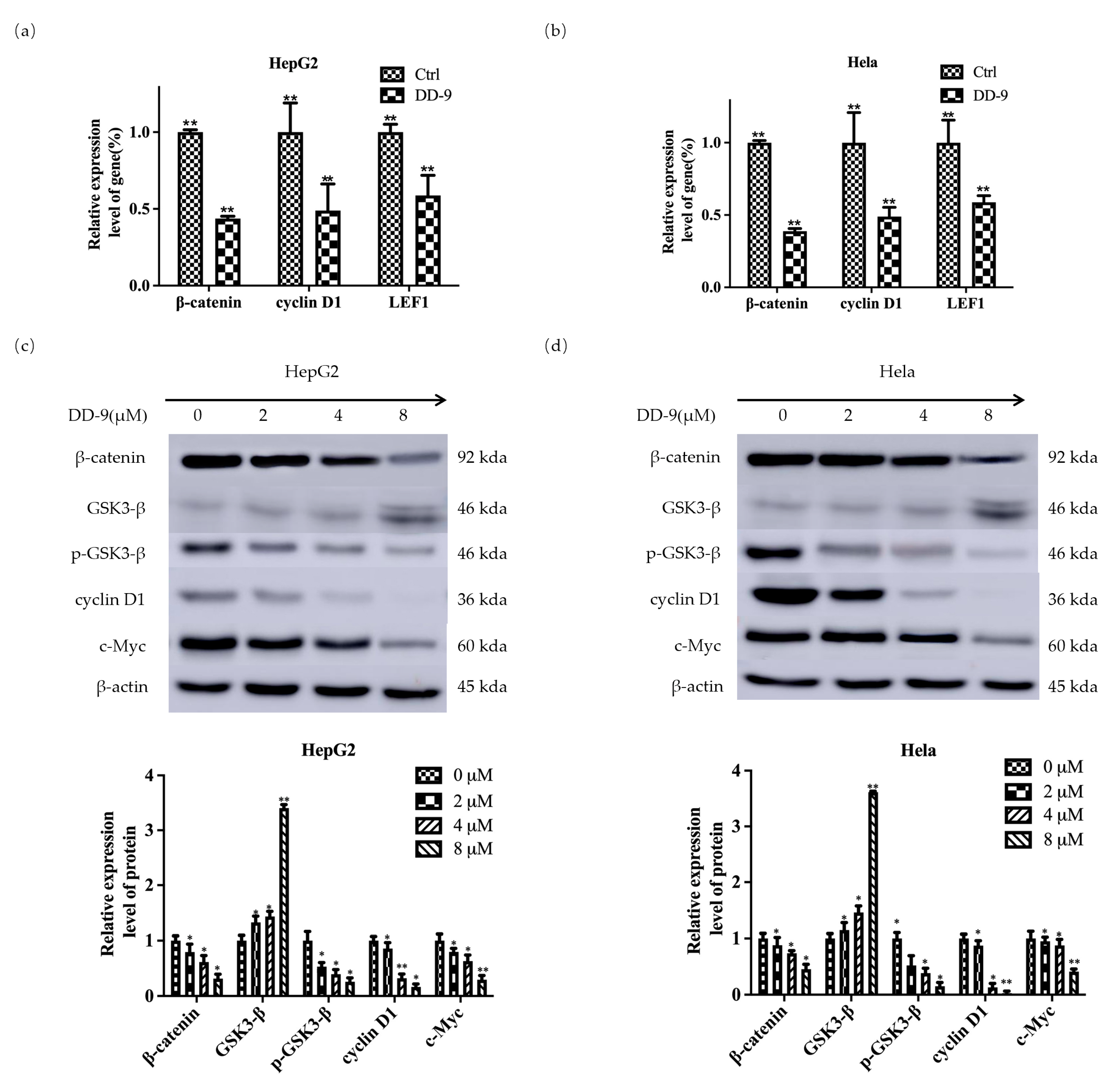 Marinedrugs 22 00278 g006