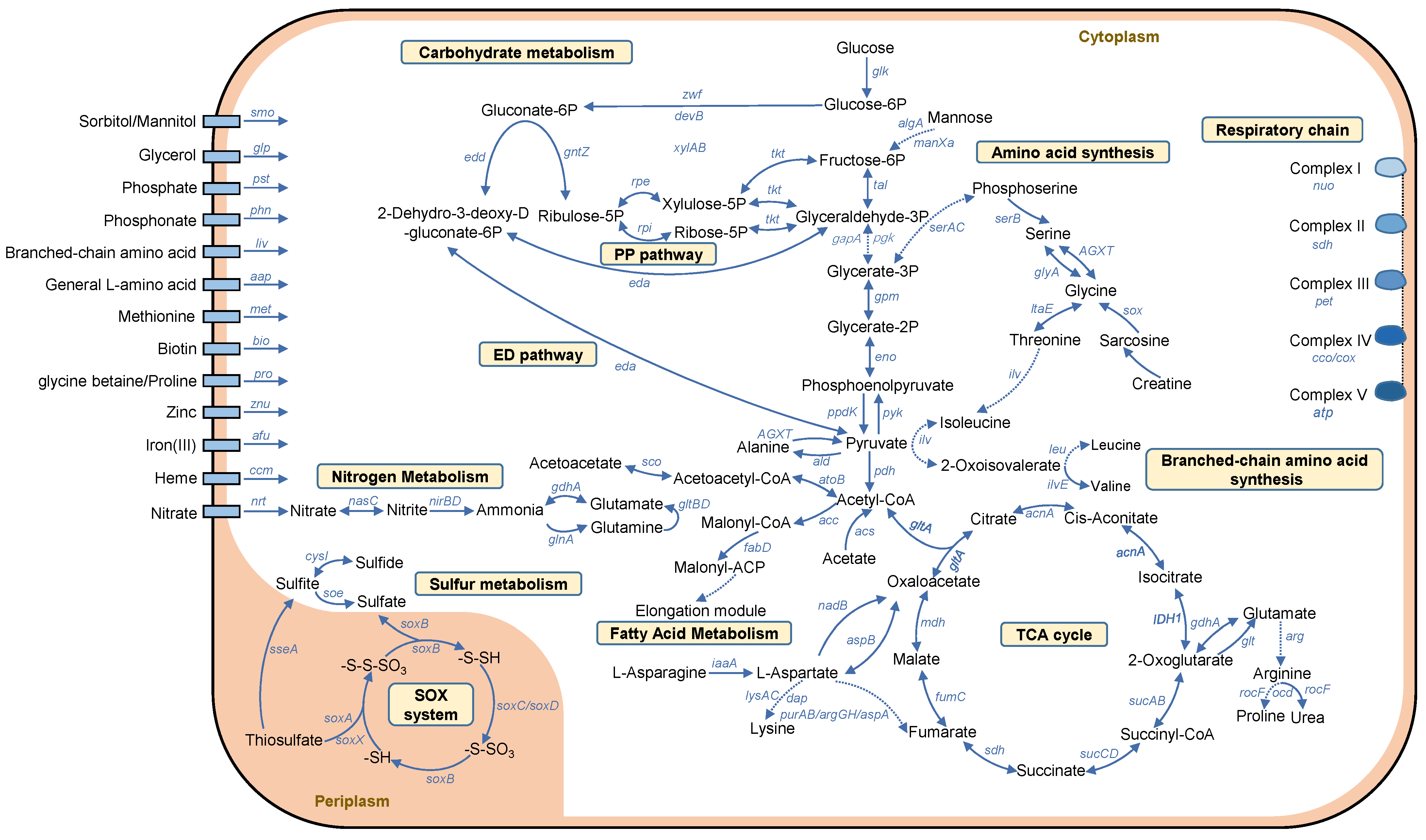 Marinedrugs 22 00289 g004