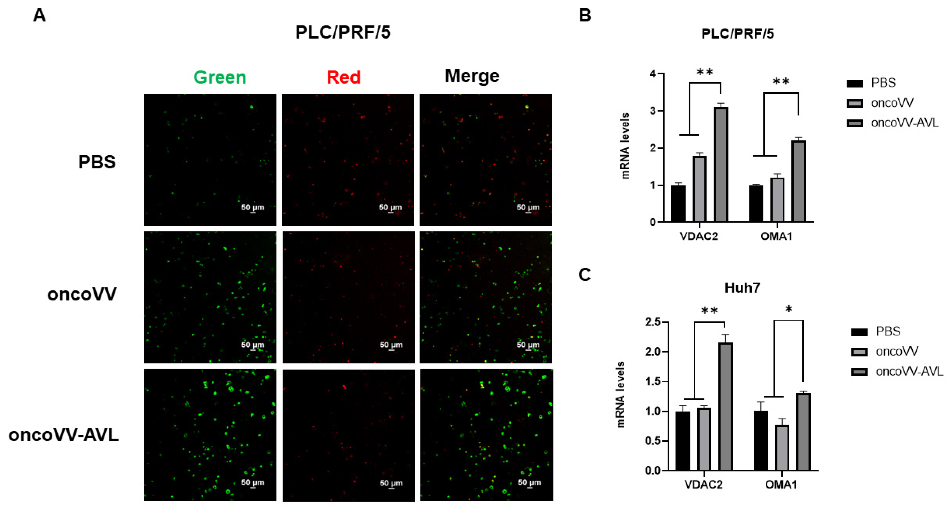 Marinedrugs 22 00307 g006