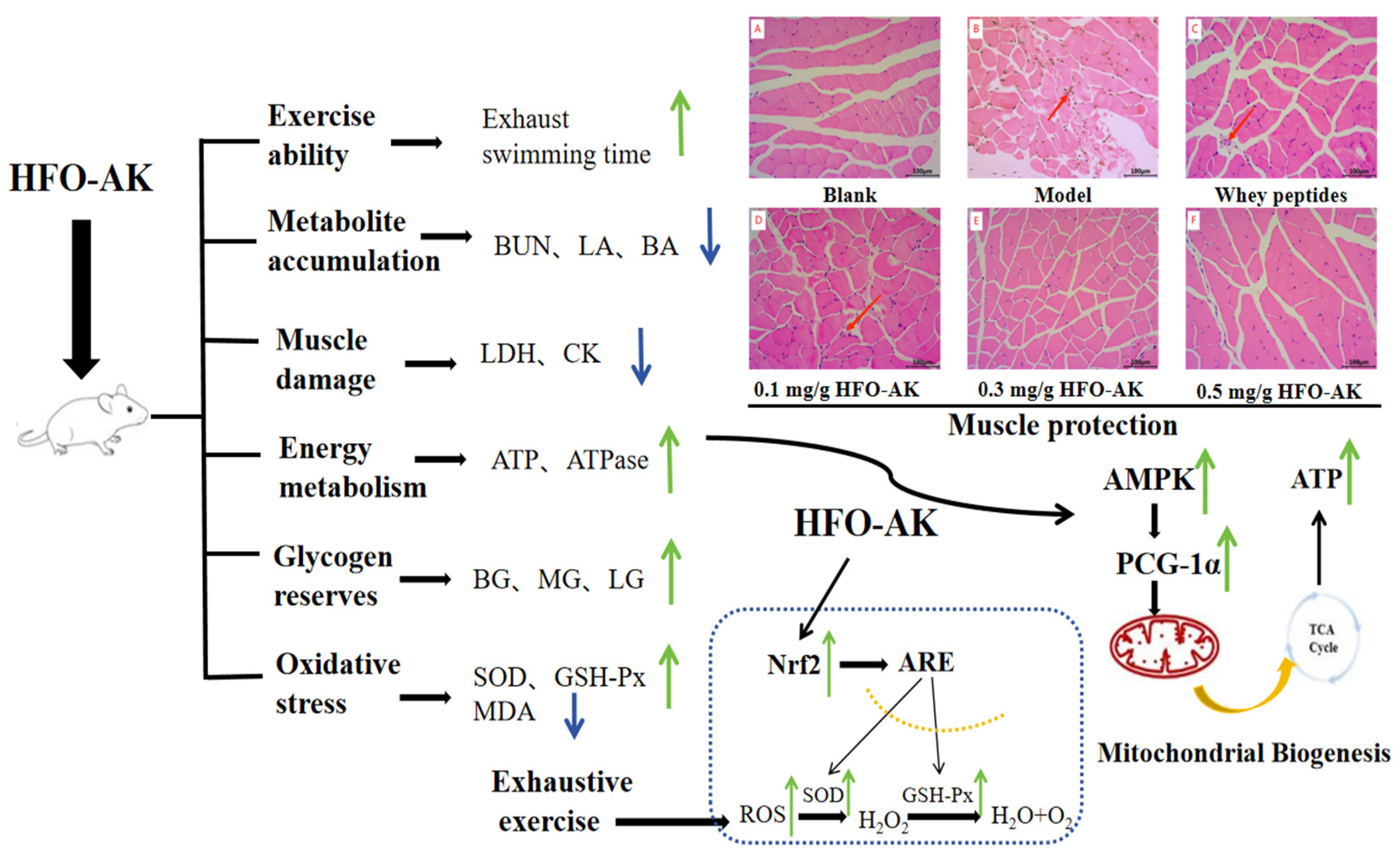 Marinedrugs 22 00322 g009