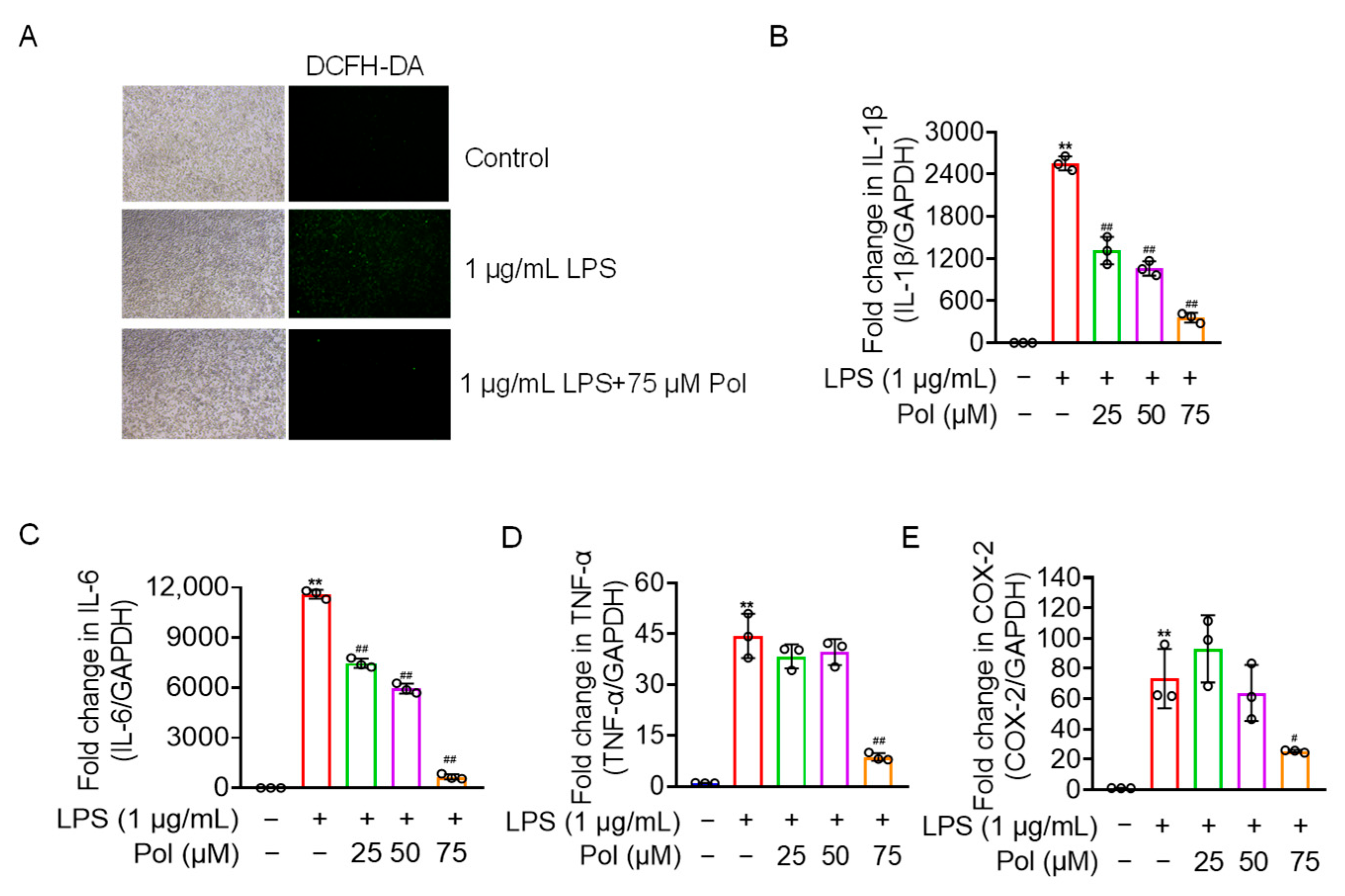 Marinedrugs 22 00324 g003