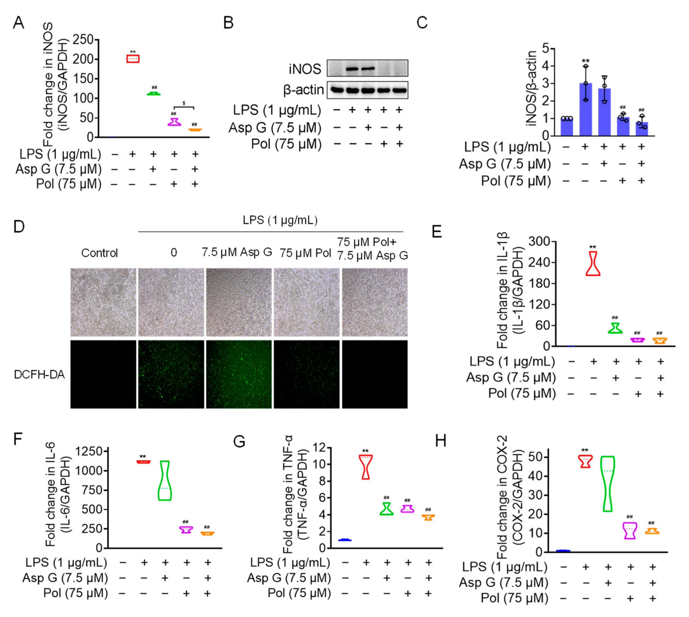 Marinedrugs 22 00324 g006