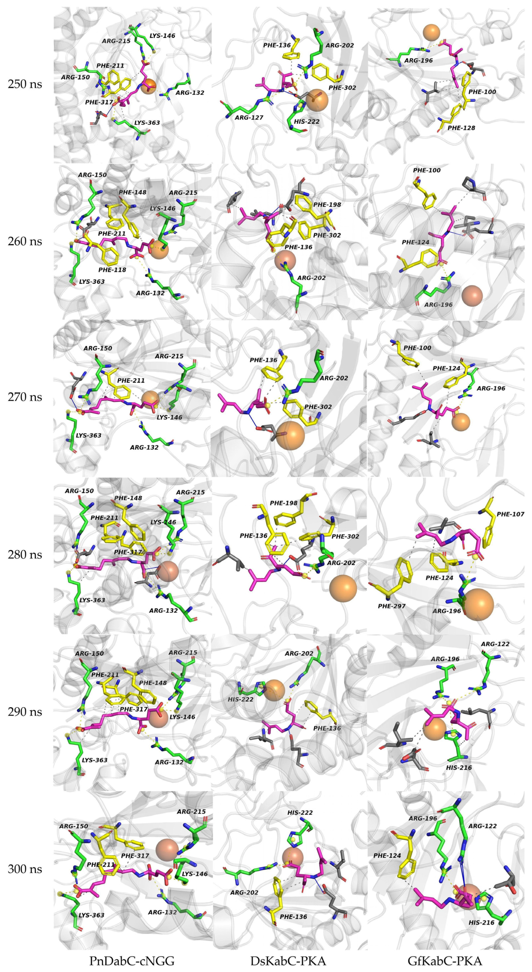 Marinedrugs 22 00326 g015