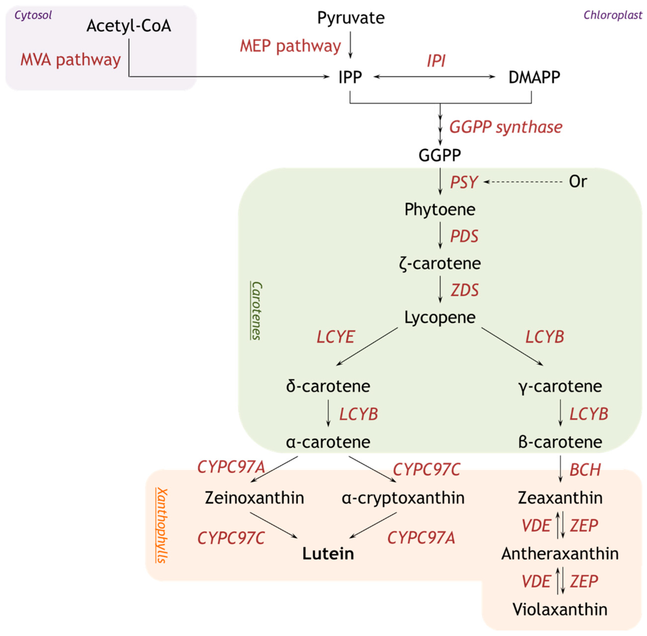 Marinedrugs 22 00329 g001