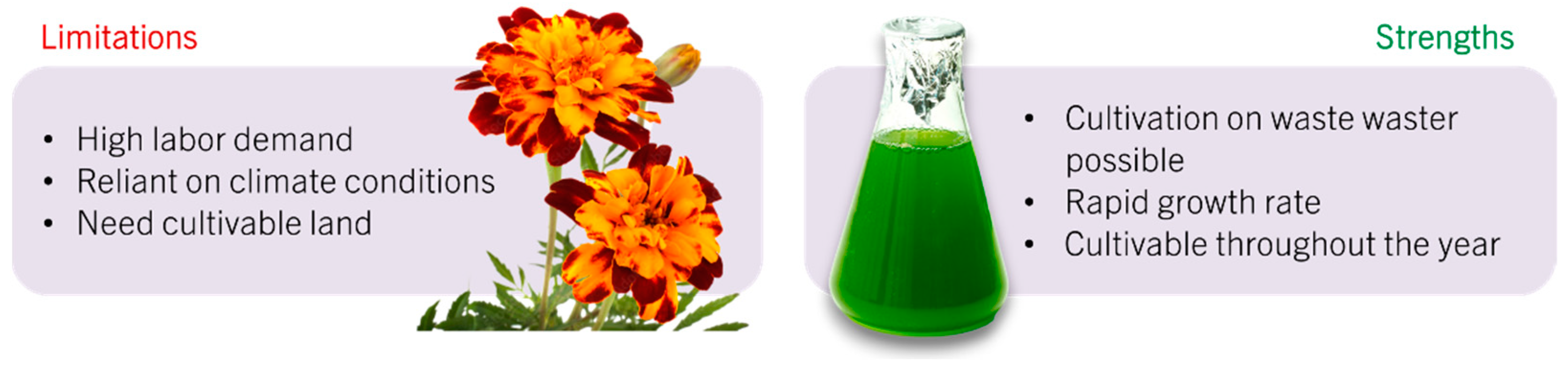 Marinedrugs 22 00329 g002