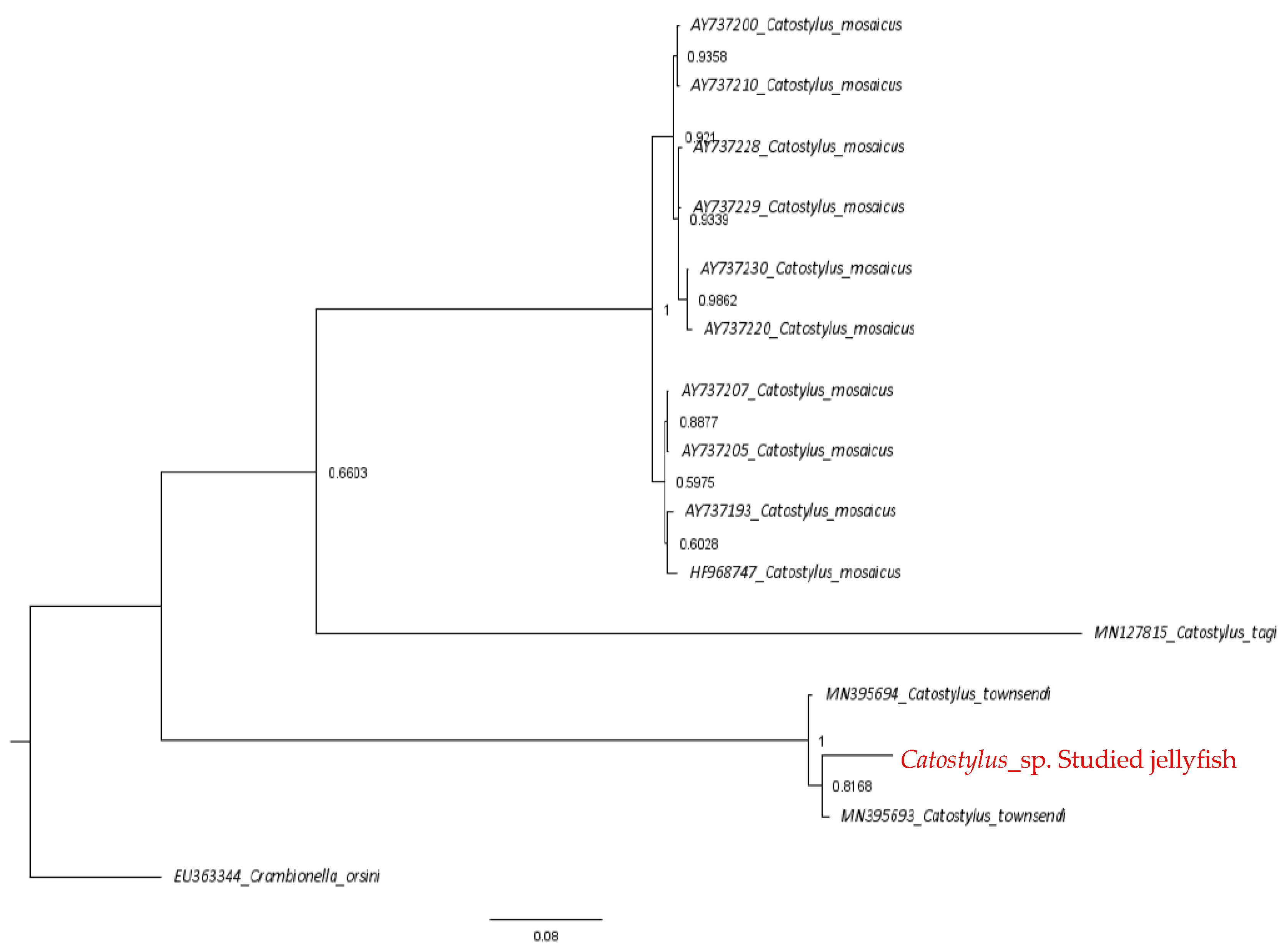 Marinedrugs 22 00333 g001
