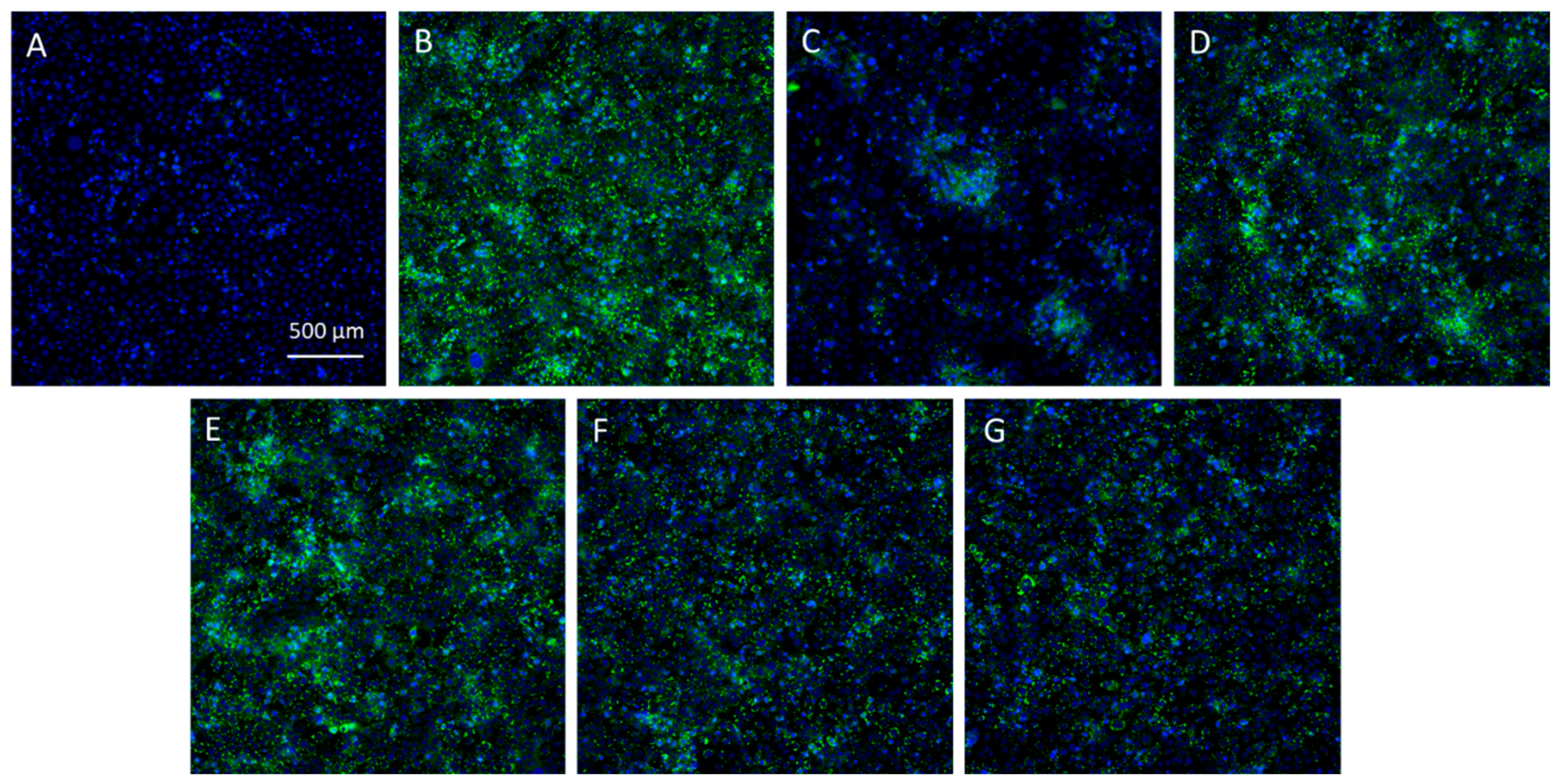 Marinedrugs 22 00343 g009