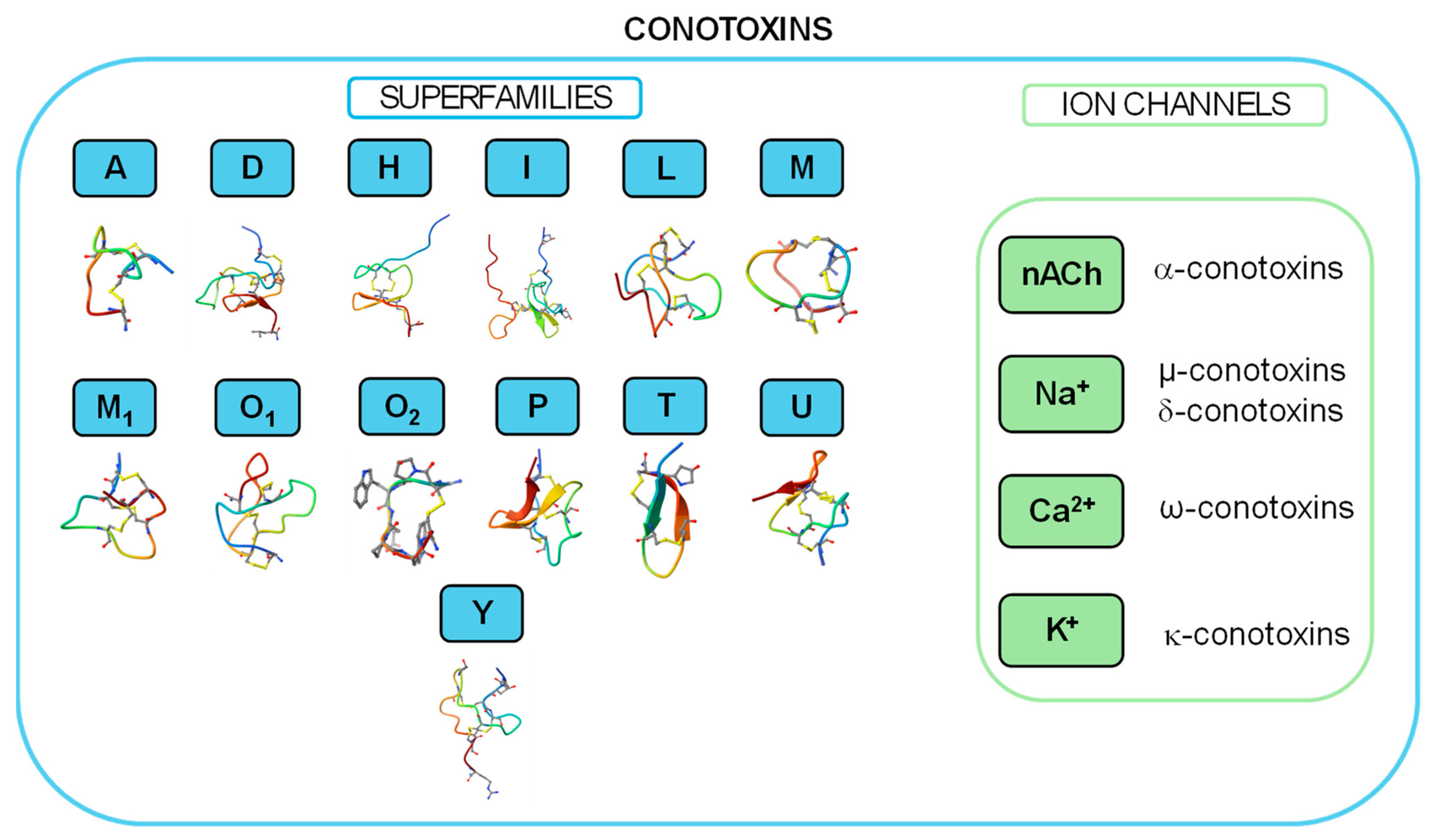 Marinedrugs 22 00350 g004
