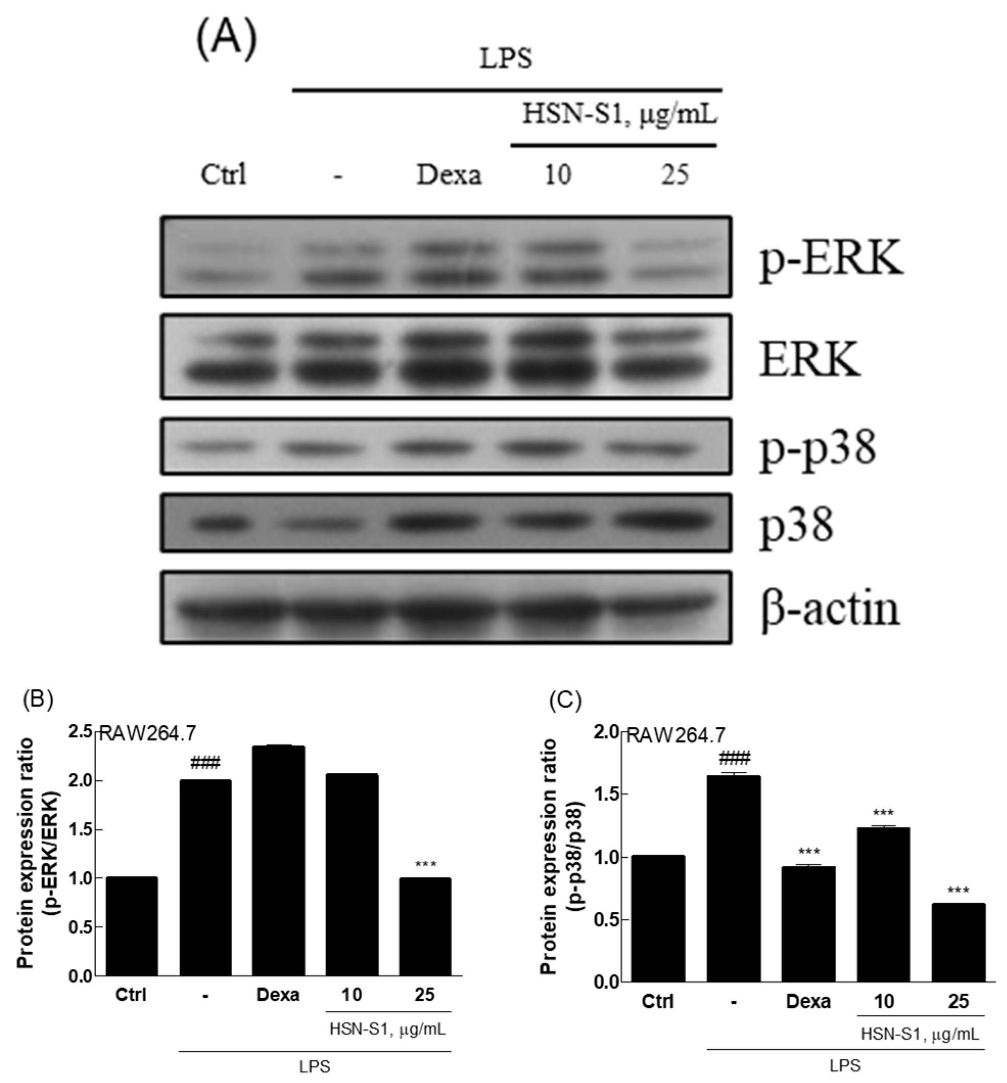 Marinedrugs 22 00354 g004