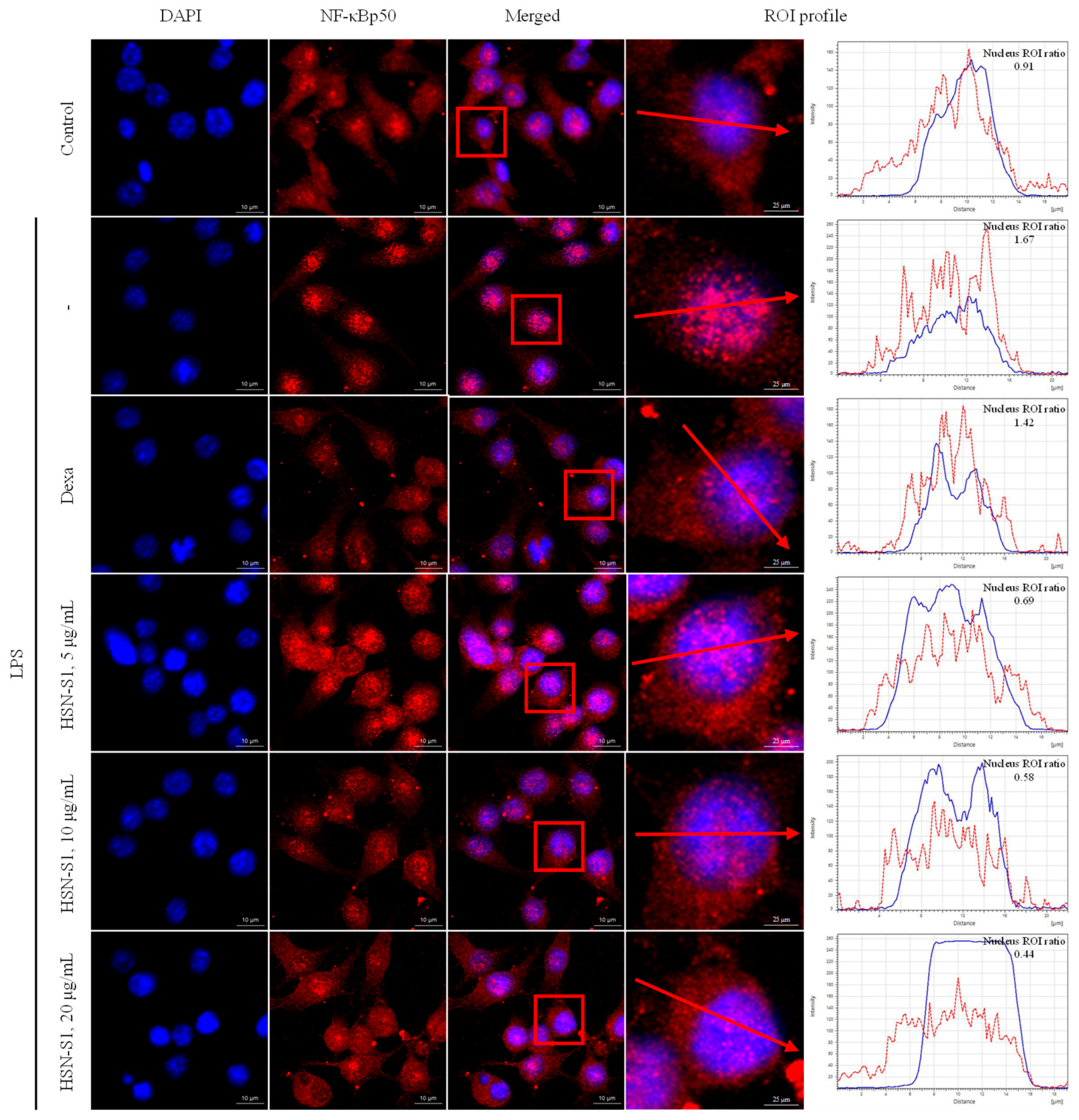 Marinedrugs 22 00354 g005