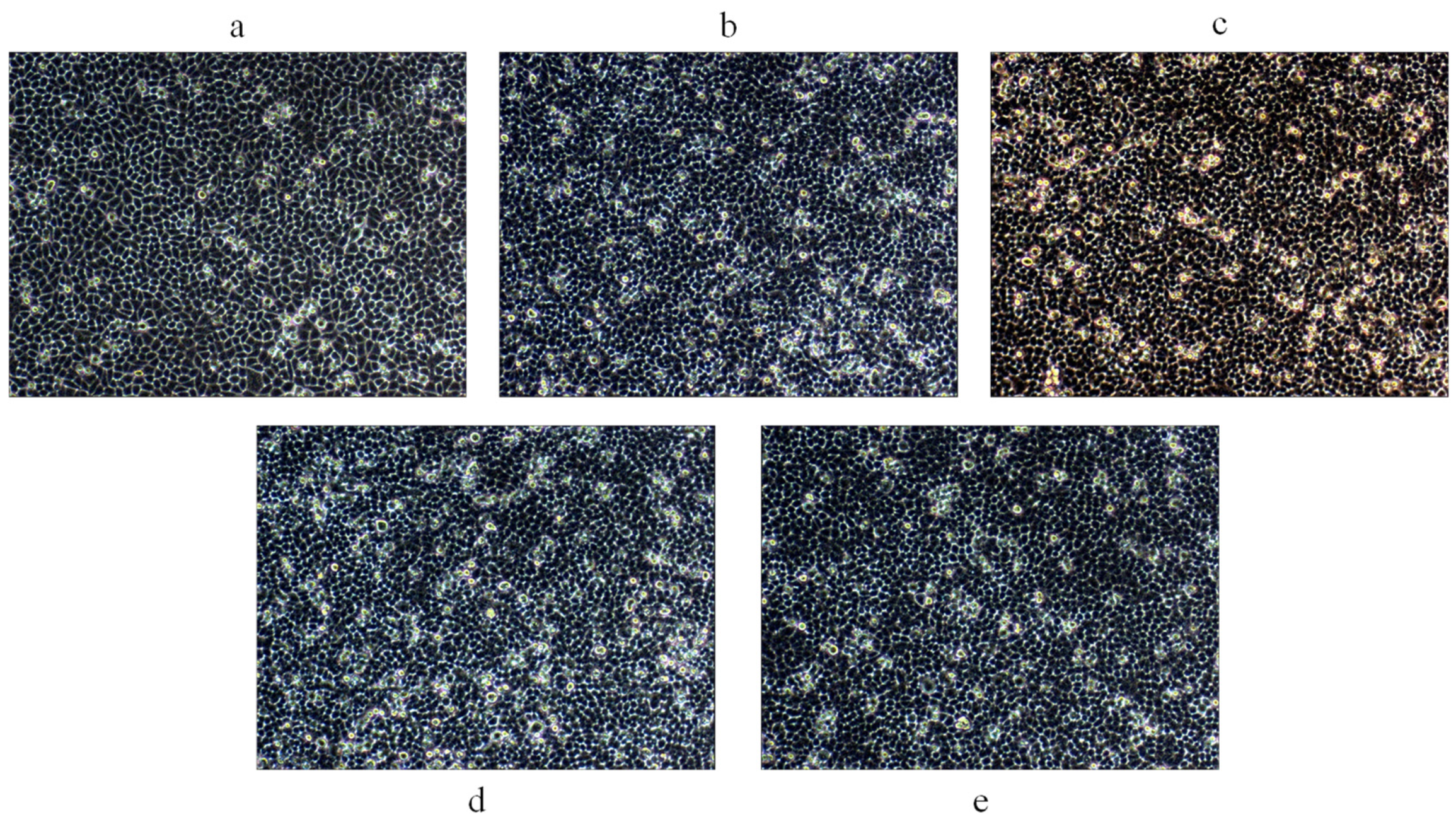 Marinedrugs 22 00356 g008